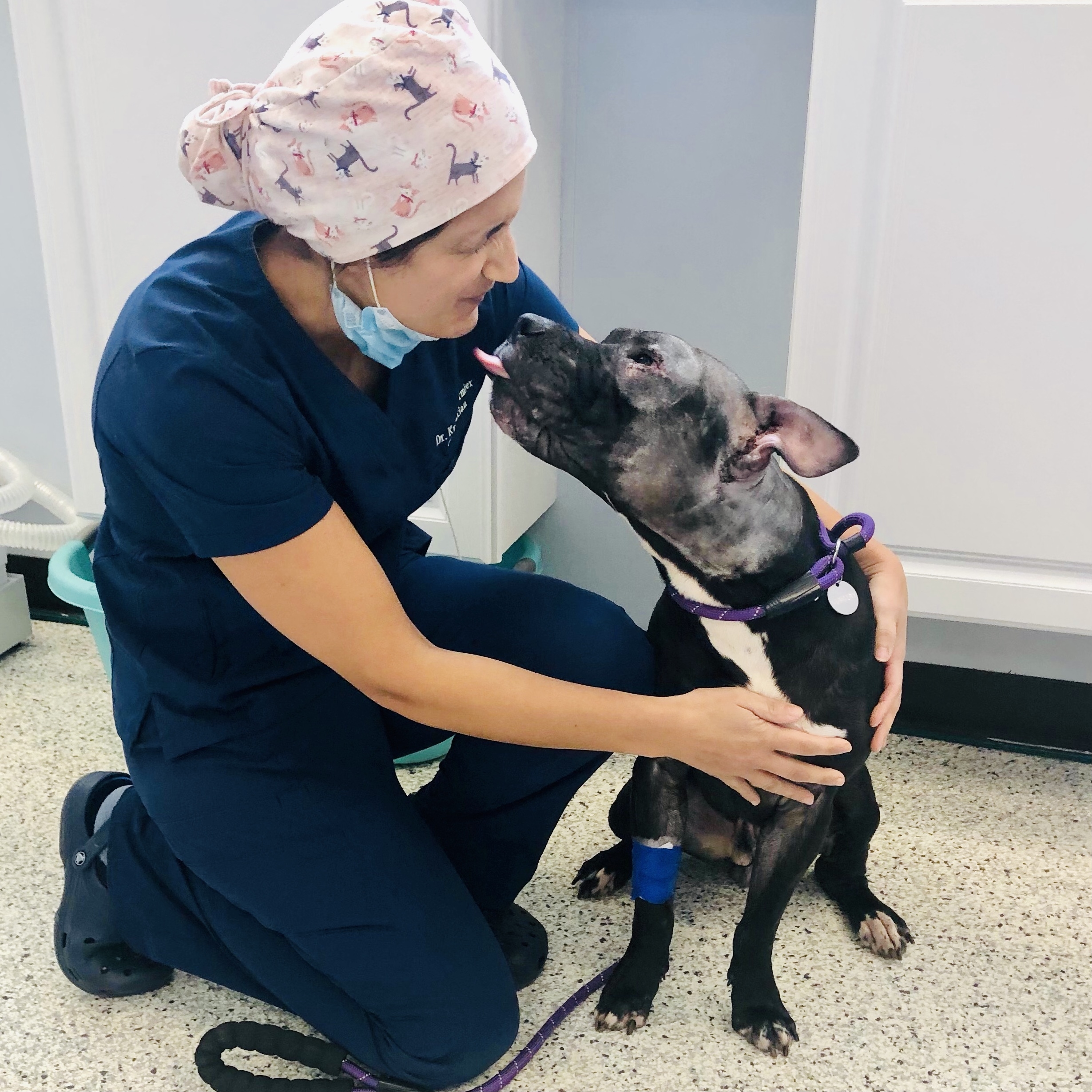 Keep 250 Pets Out of Shelters