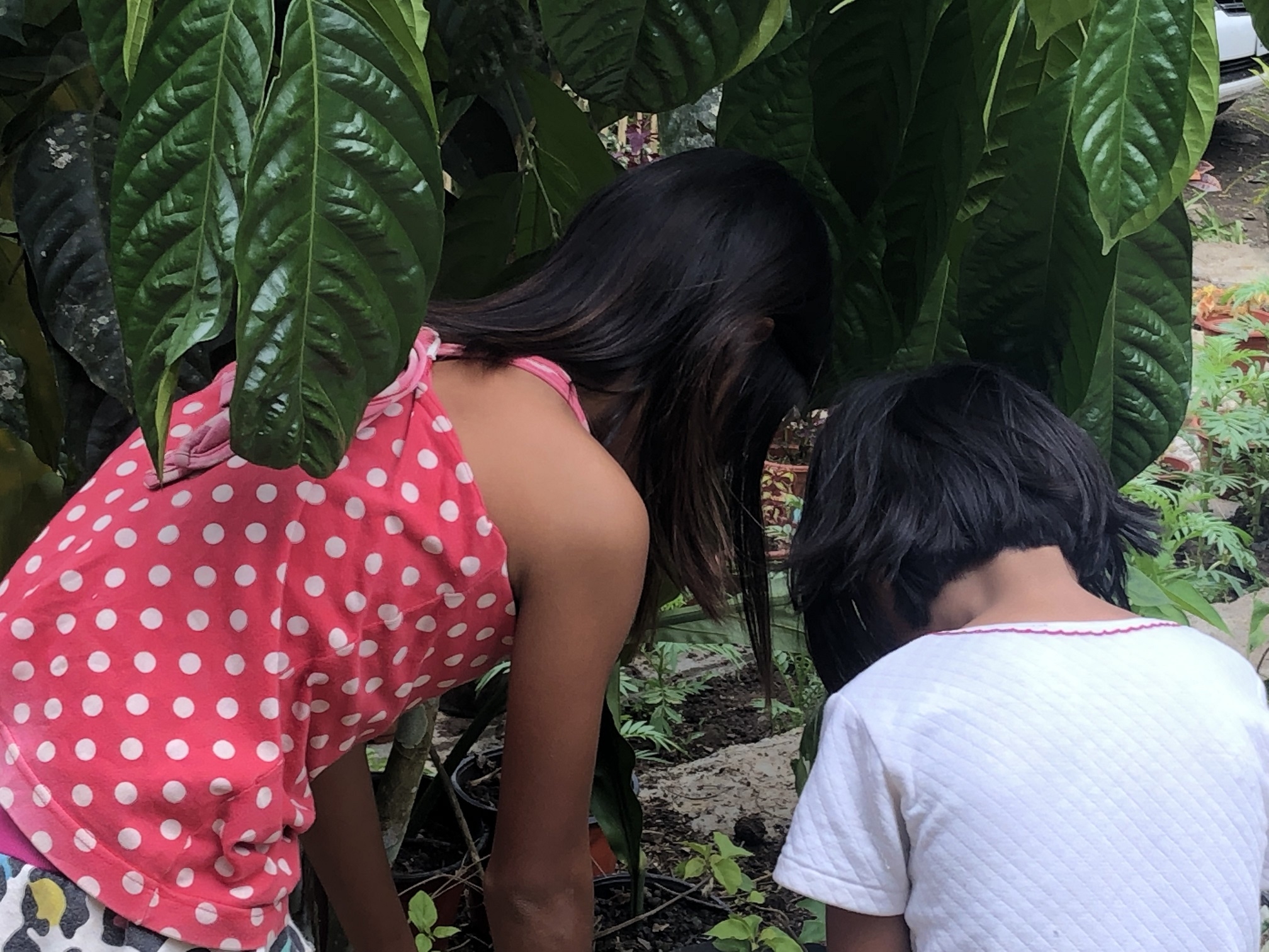 Abused Girls Rescue and Support Project