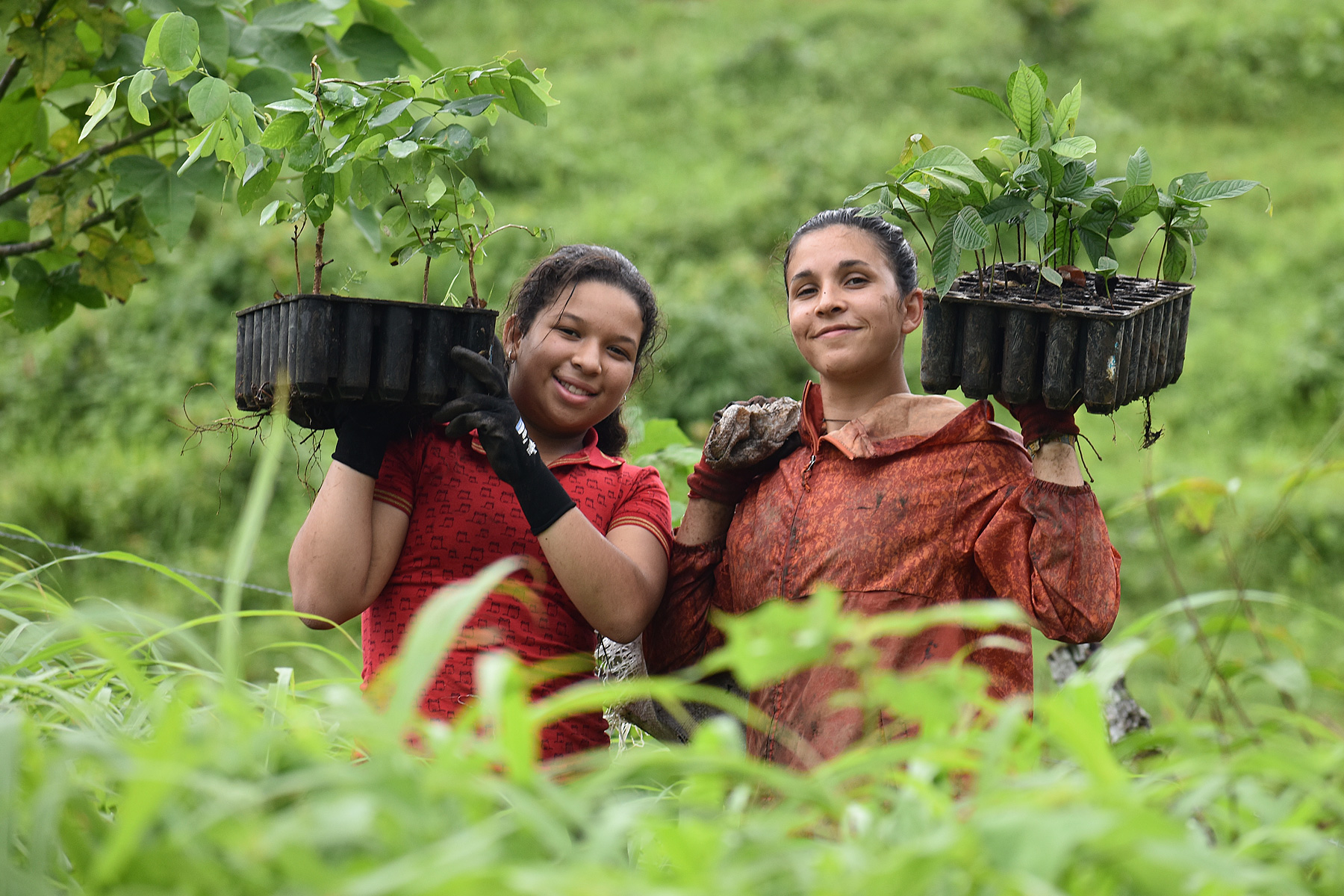 28000 trees/year to reforest Azuero Peninsula