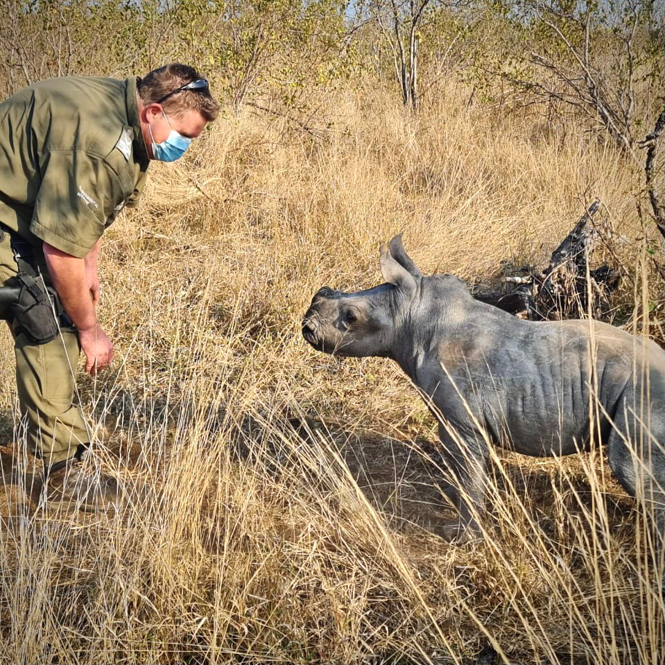 FIGHTING POACHING - SAVING RHINO