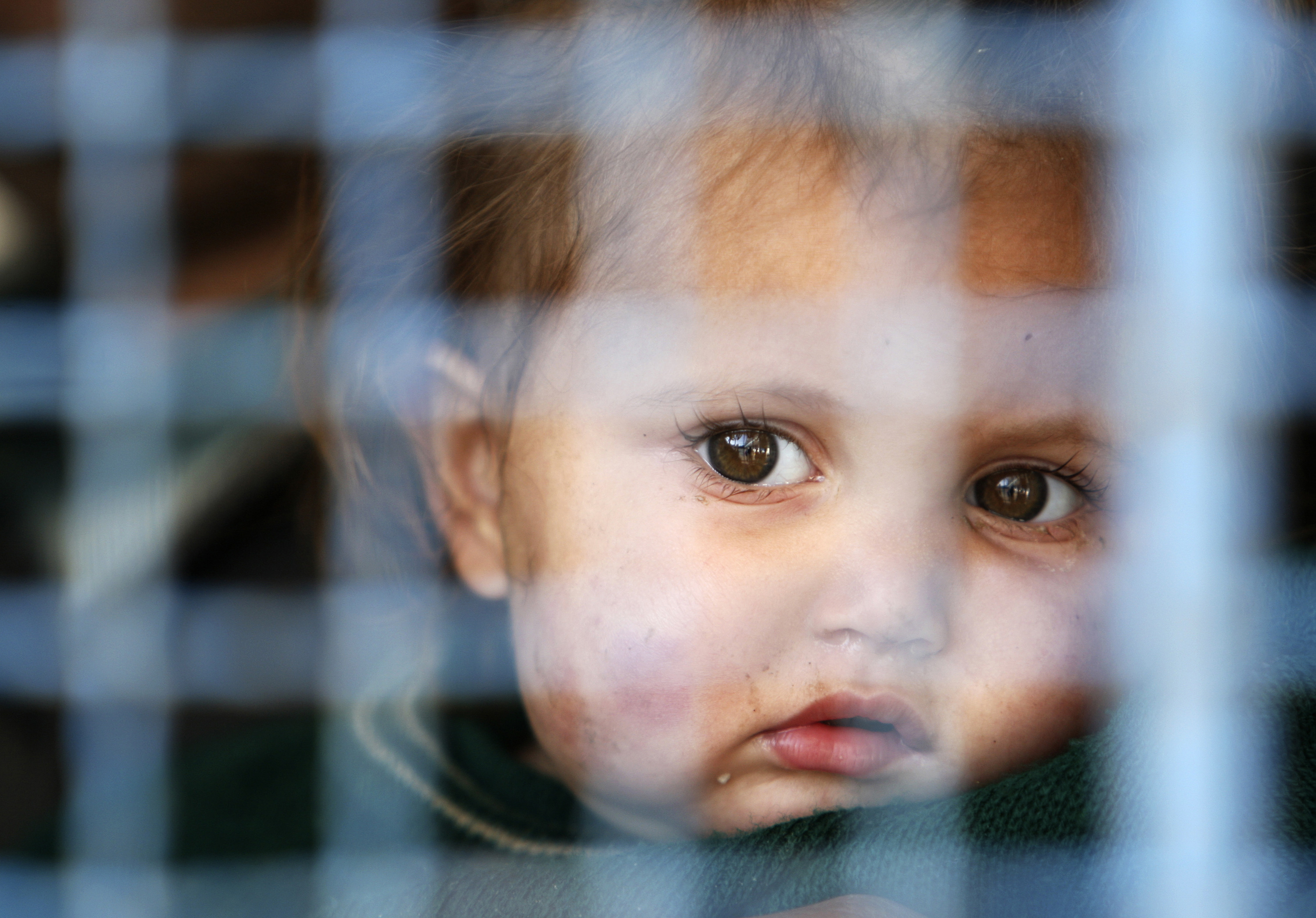 Addressing Humanitarian Needs in Gaza