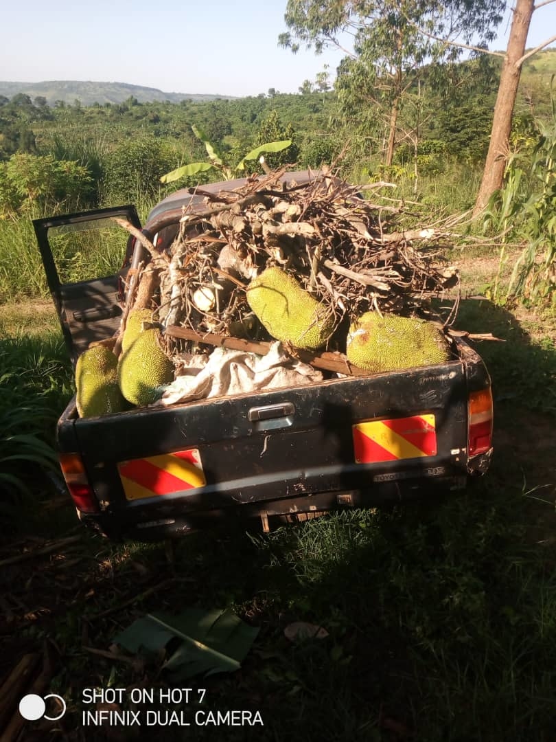 SECURING OUR SUSTAINABILITY WITH A TRUCK