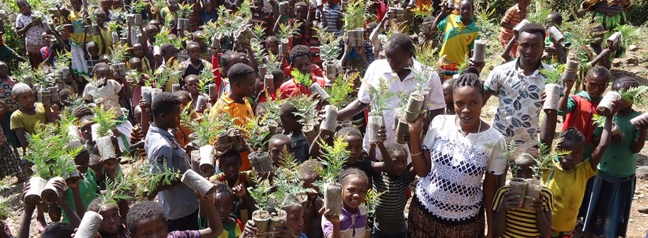 Cultivate Plants- Cultivate Peace in Ethiopia
