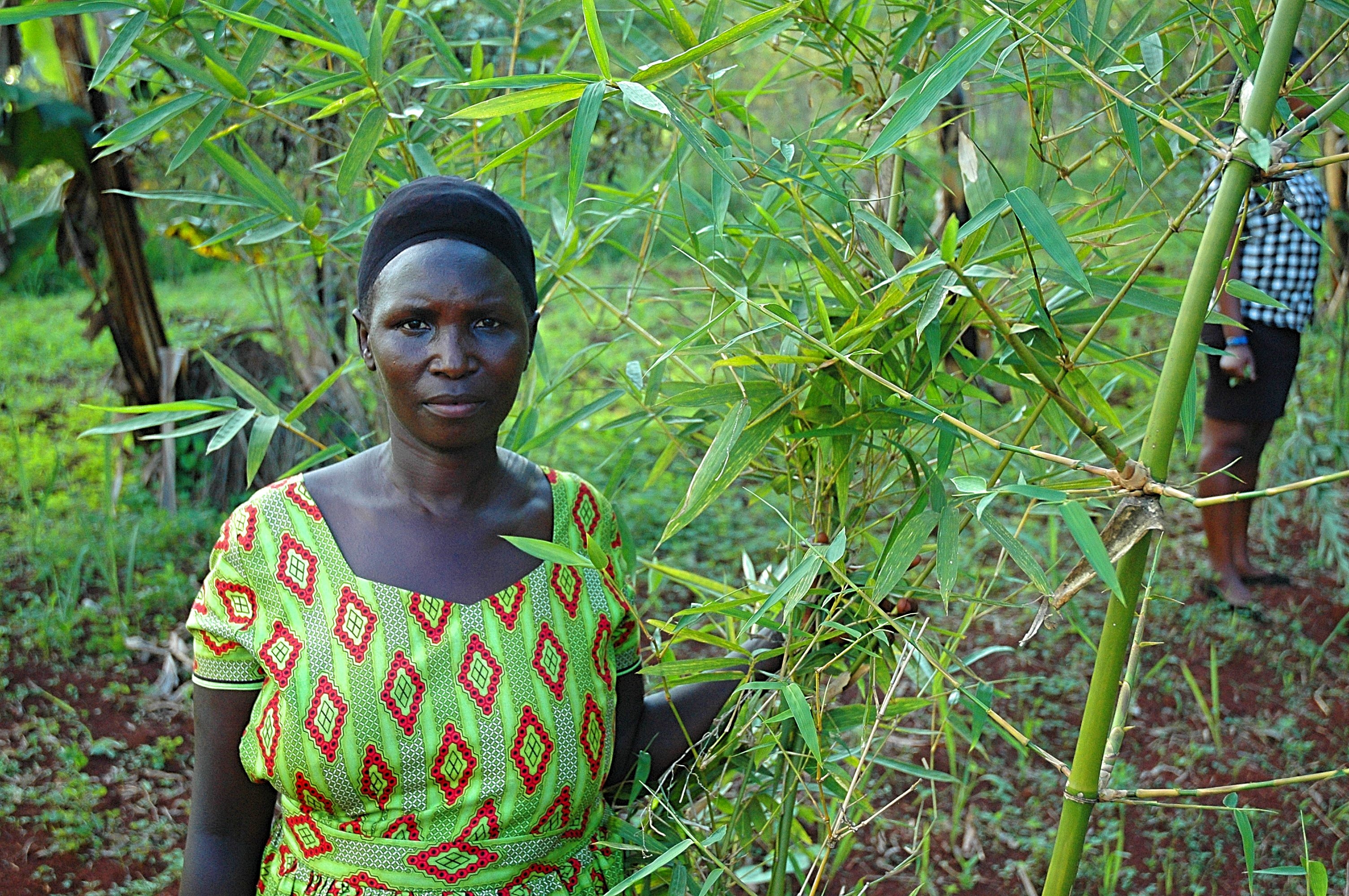 Climate change adoption for 100 farmers in Uganda