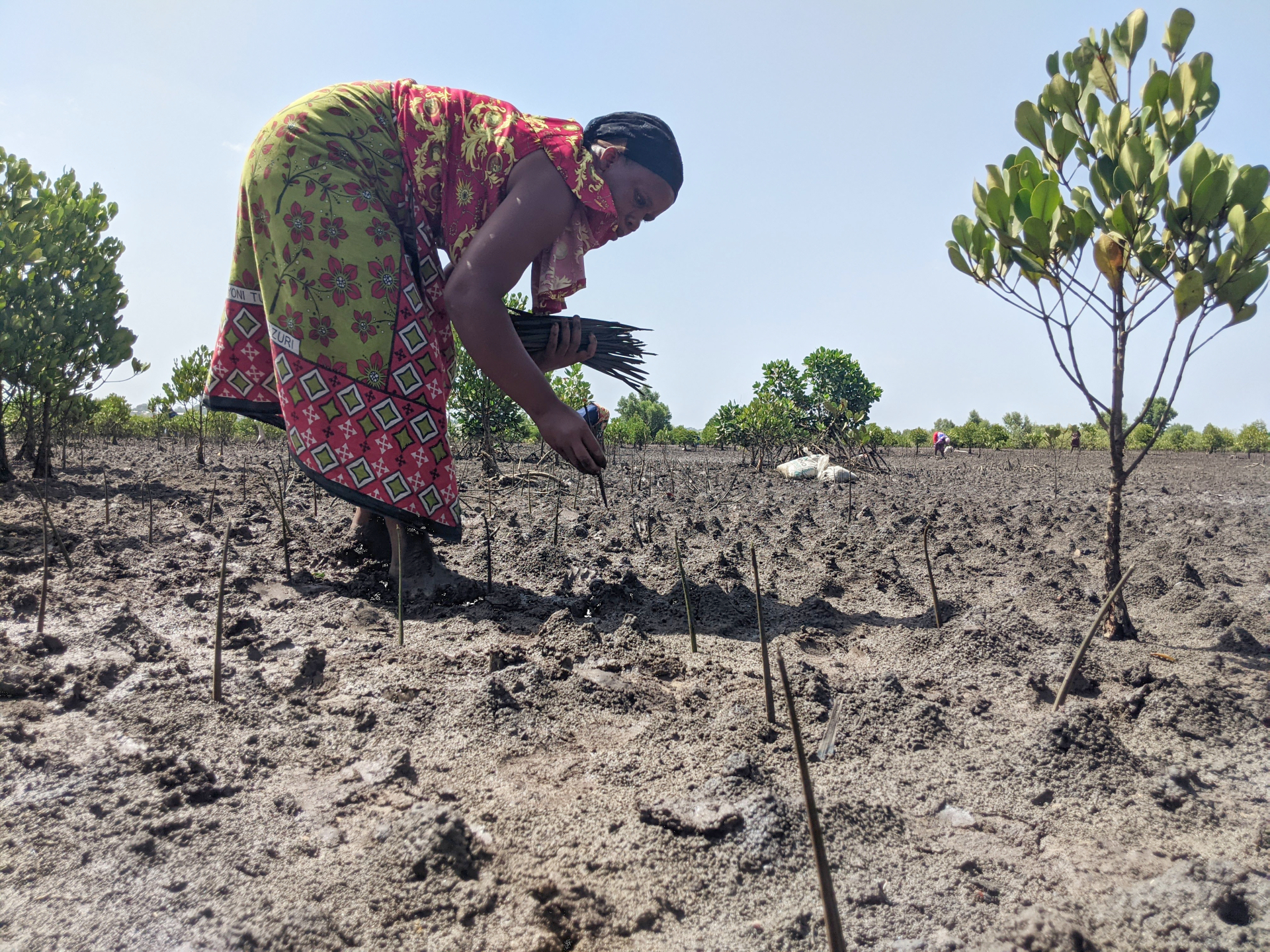 Empower 80+ communities restore their ecosystems