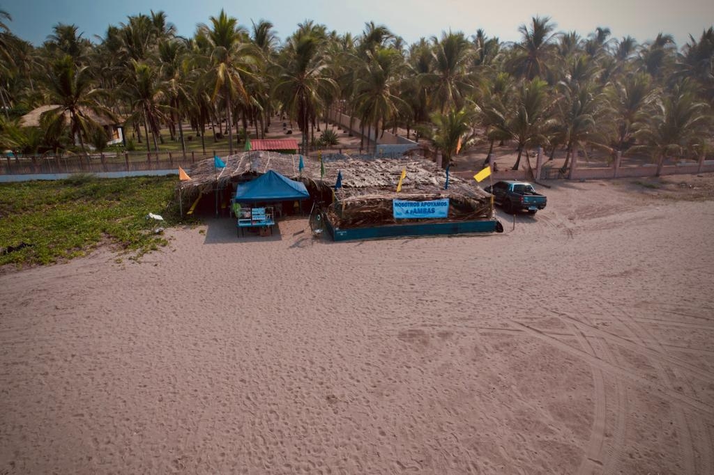 Save 60,000 Sea Turtles in El Salvador