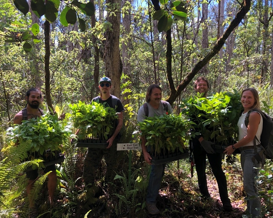 Protect  Hawaii's Last Lowland Native Rainforest