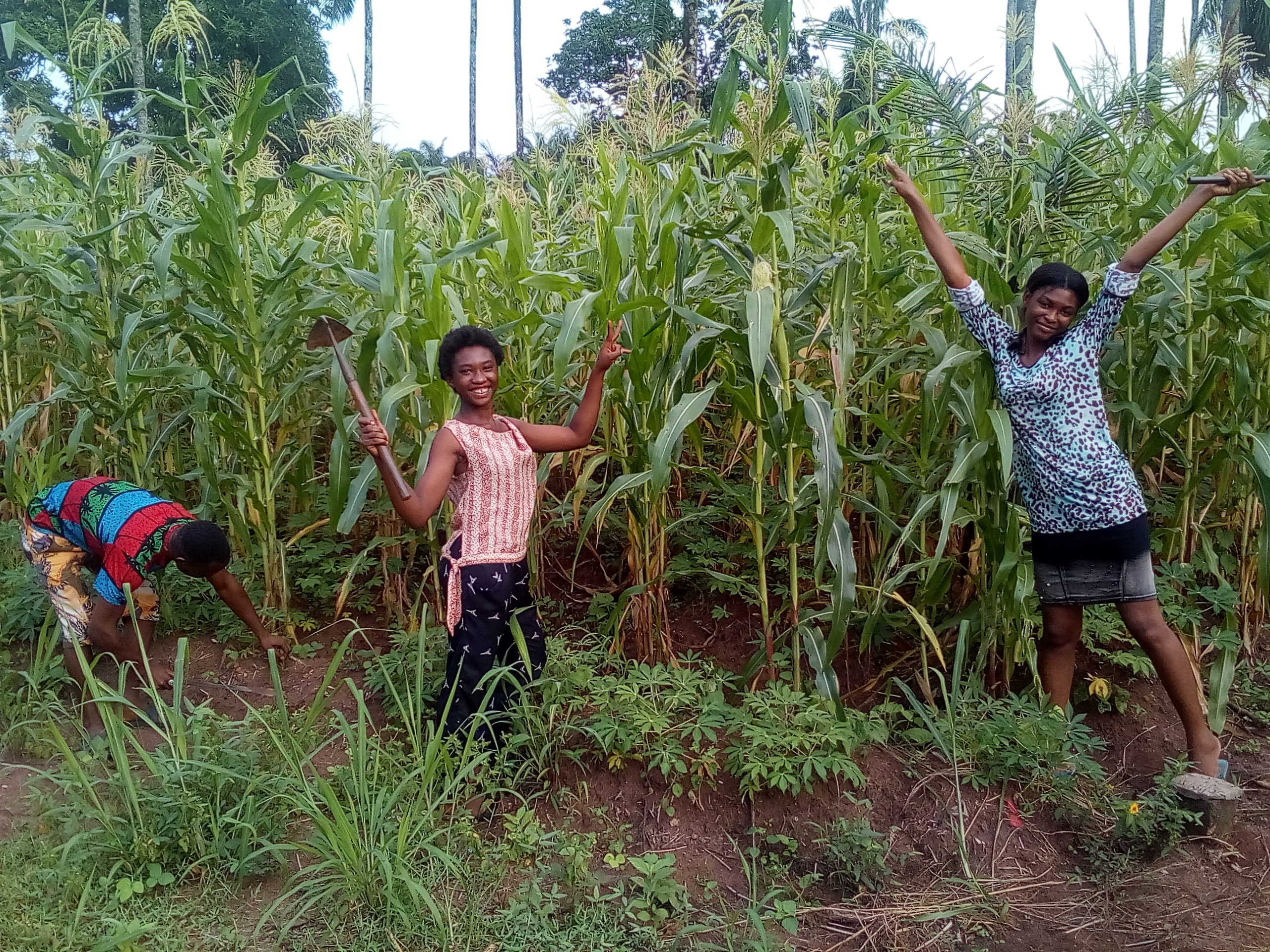 Youth Farming to Eliminate Hunger in Rural Nigeria