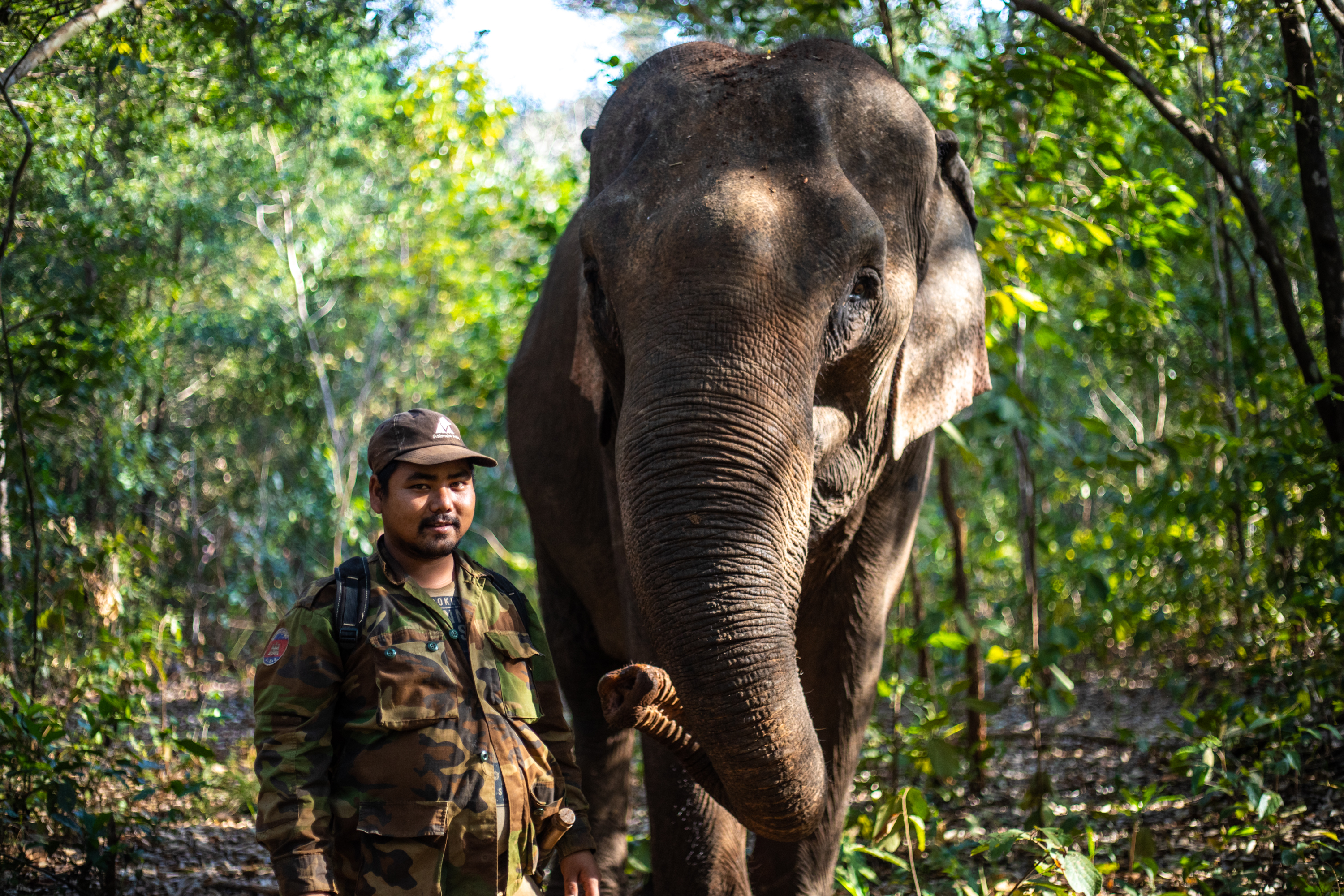 Caring for Cambodia's elephants during Covid