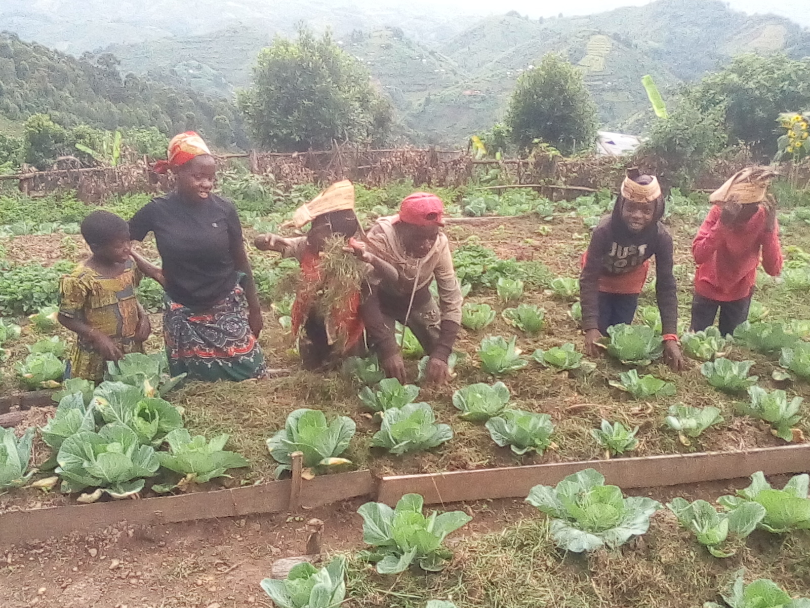 Help displaced Batwa buy farmland to fight poverty