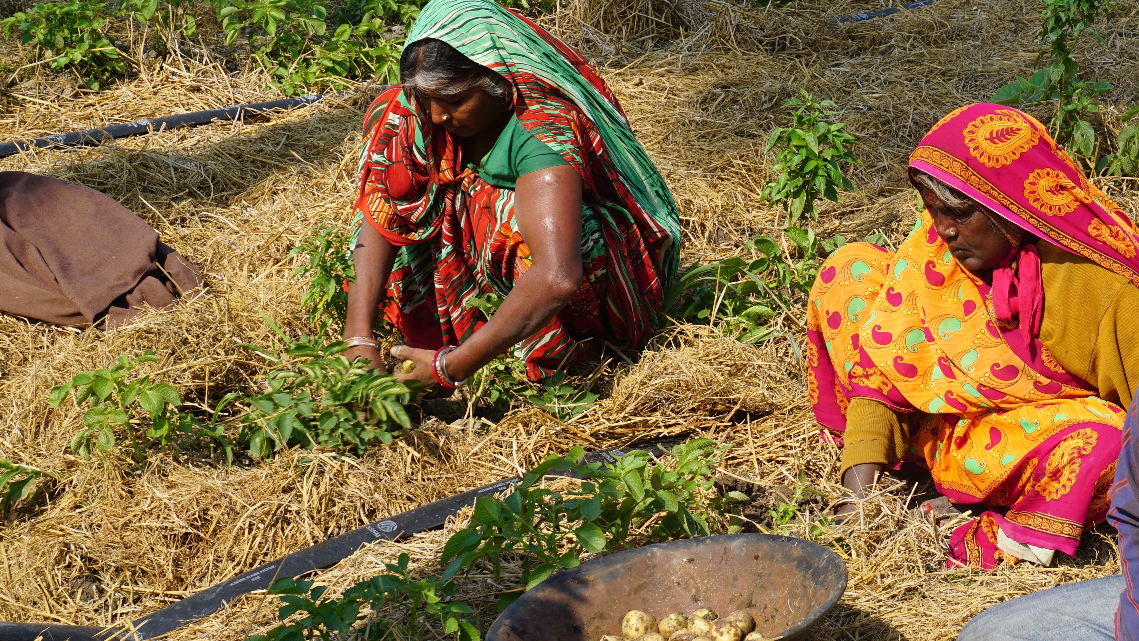 Support young changemakers in India