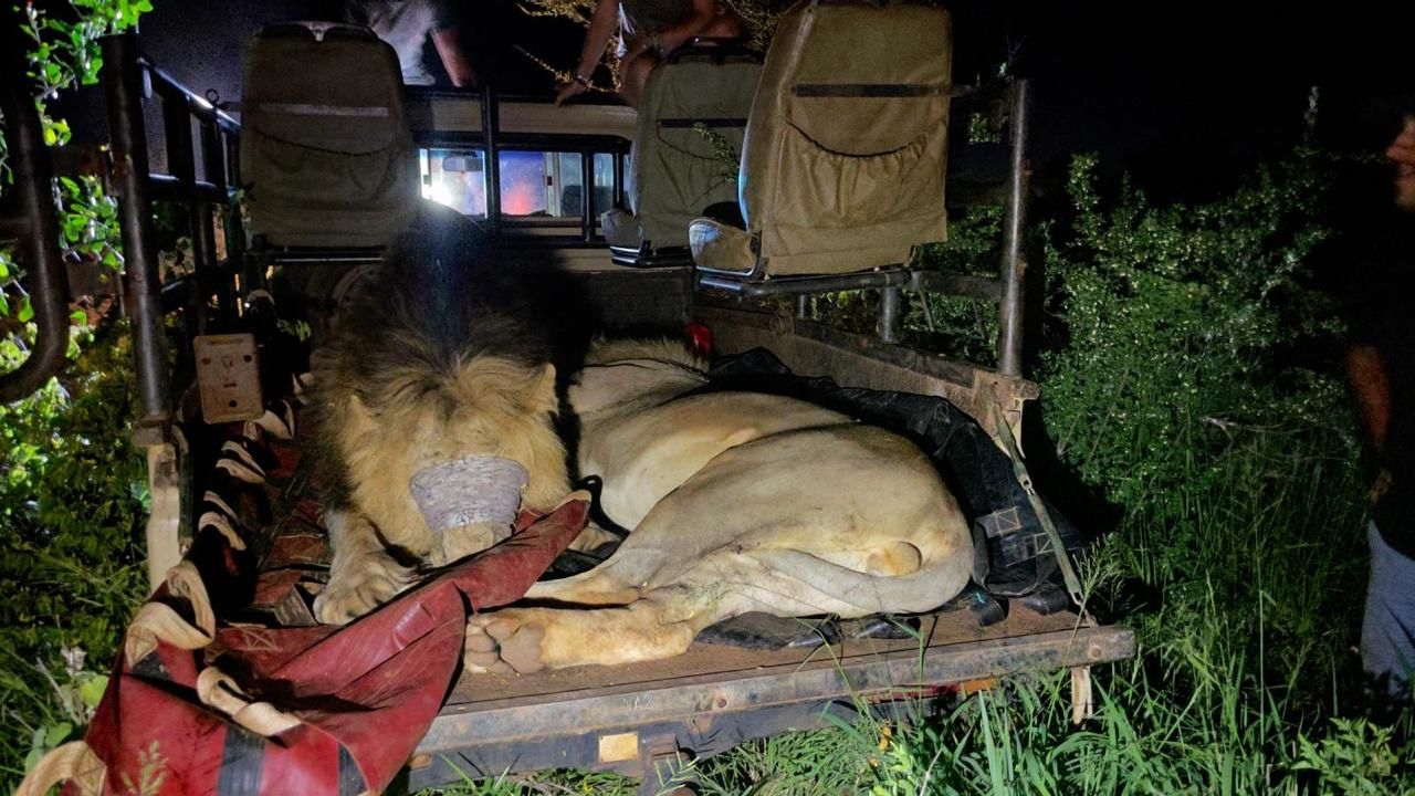 Dedicated wildlife rescue vehicle