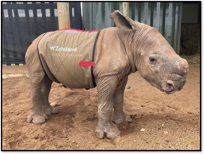 Zululand Rhino Orphanage
