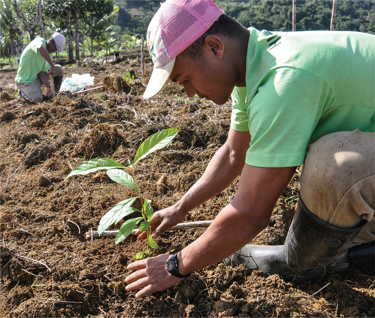 Revive S/East: Go Green-Bio & Solar for Climate