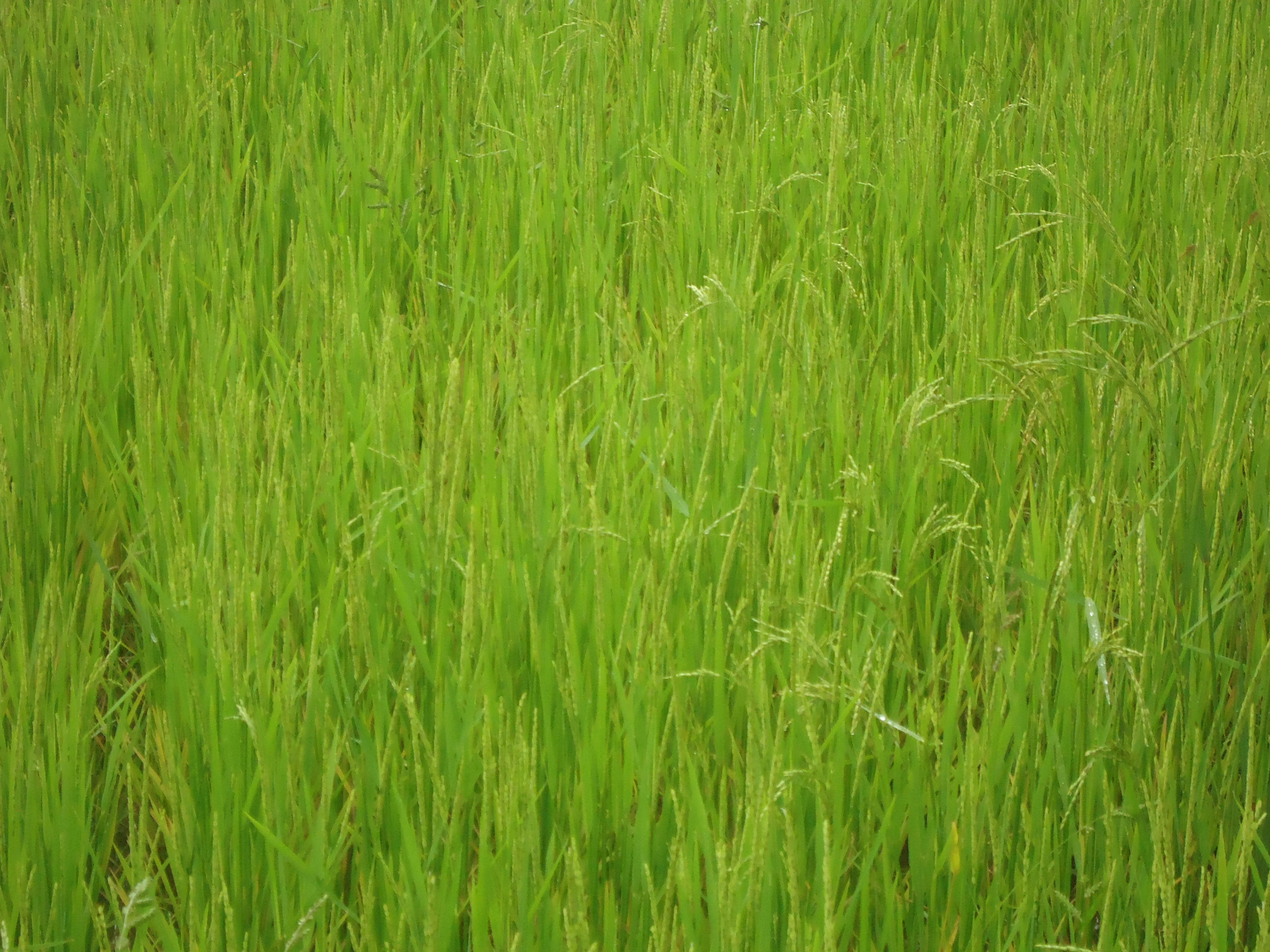 Improve Professional Skills