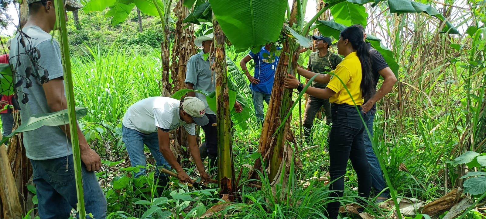 Climate change resilient families in Honduras