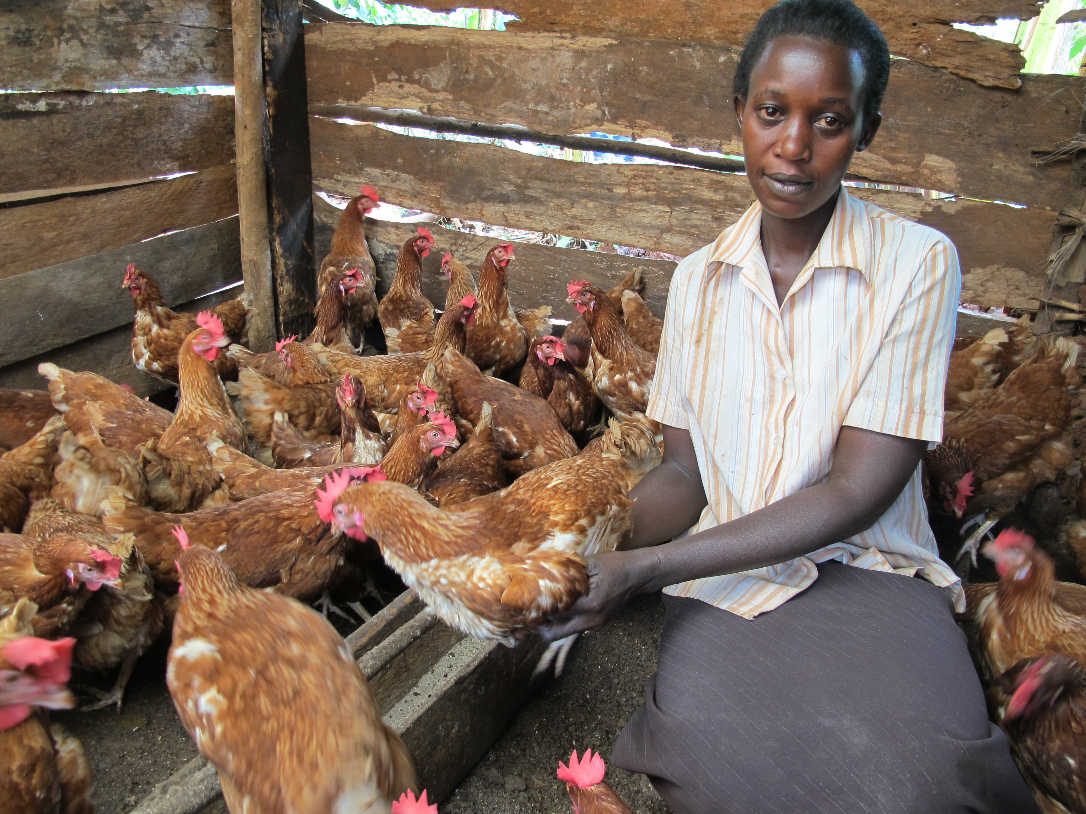 Better Lives for Vulnerable People in East Africa