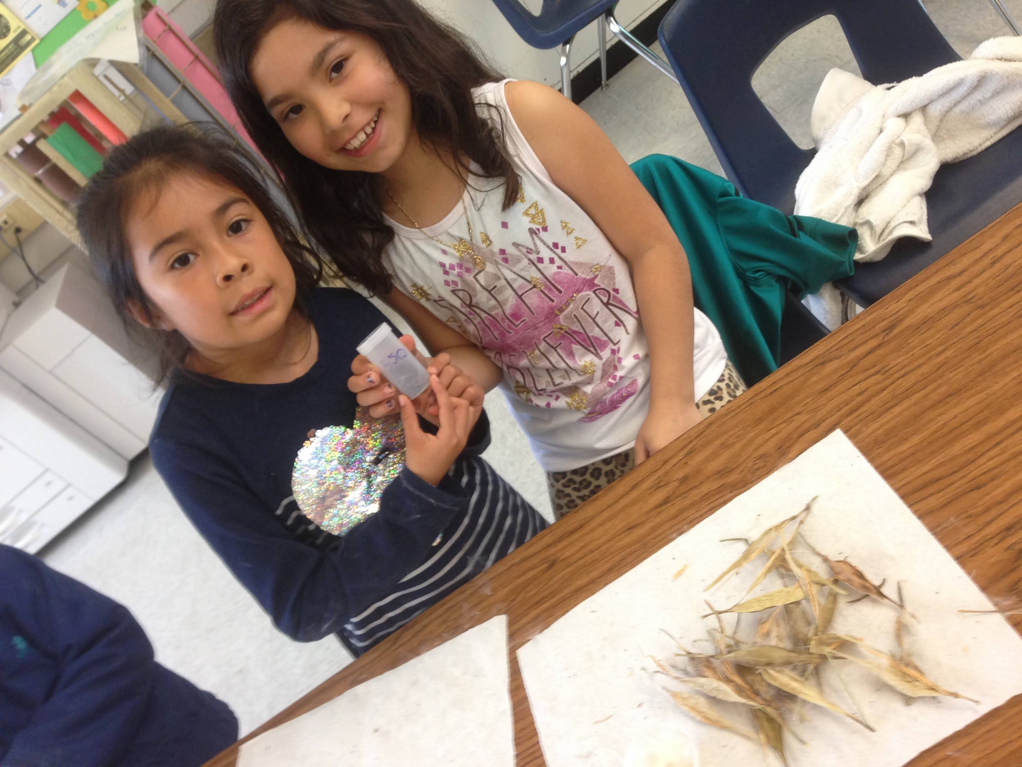 Help Grow the Dirt Girls Greenhouse