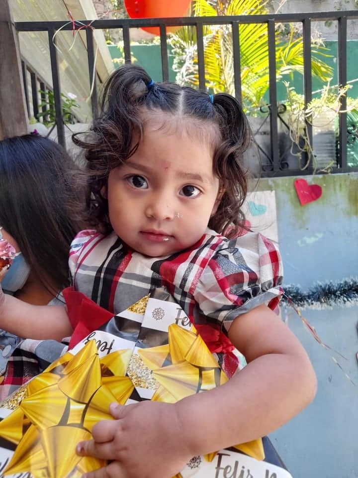 Funding The Integral Heart School in 2022