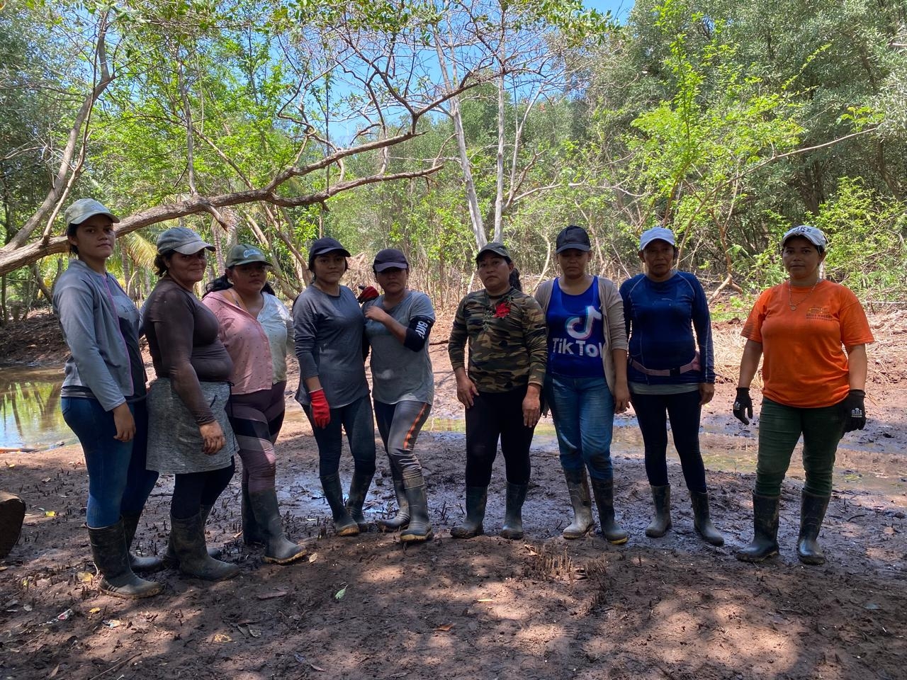 Women Restoring Life to the Mangroves