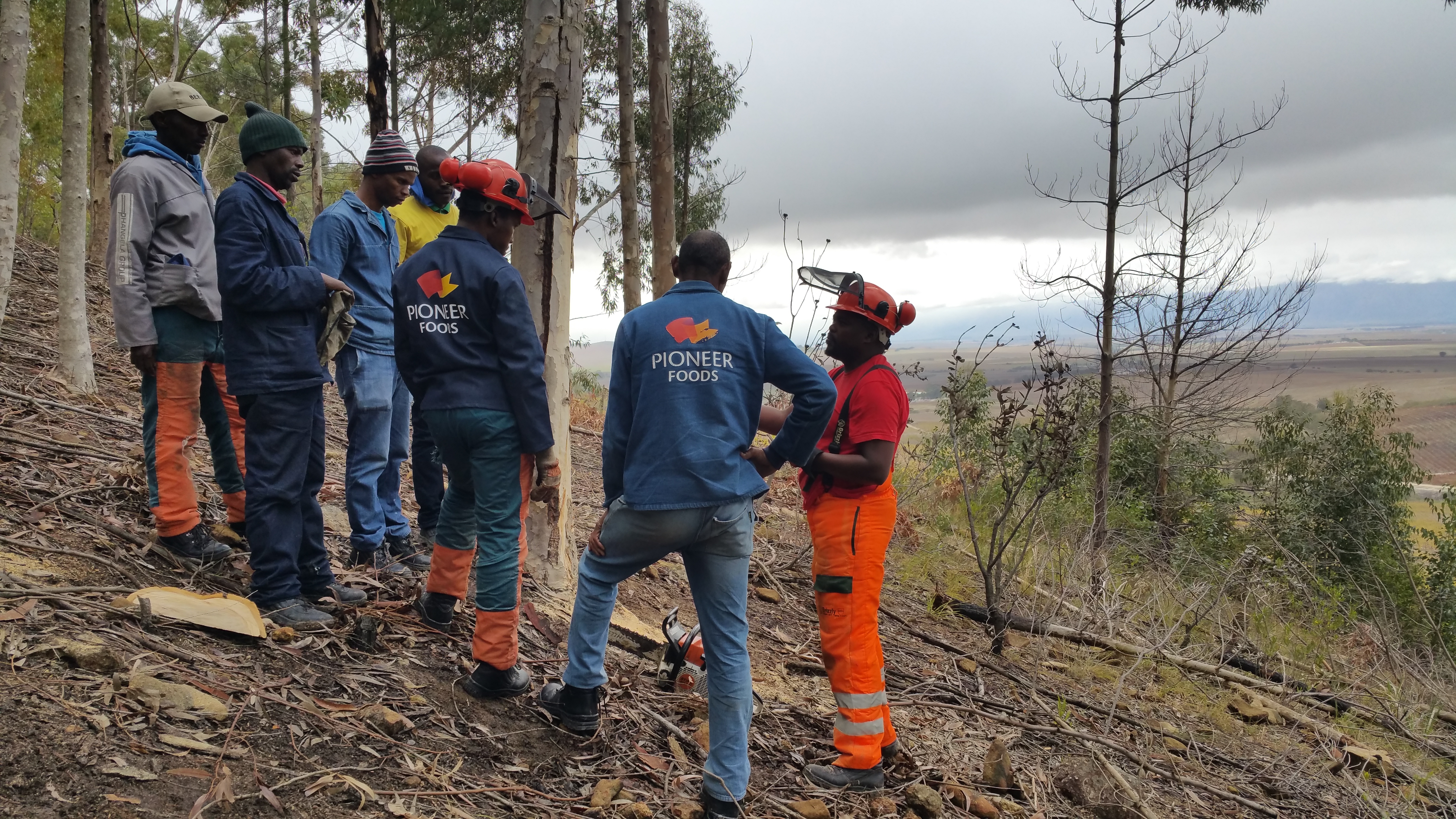 Conservation and Wildfire Prevention, W Cape, RSA