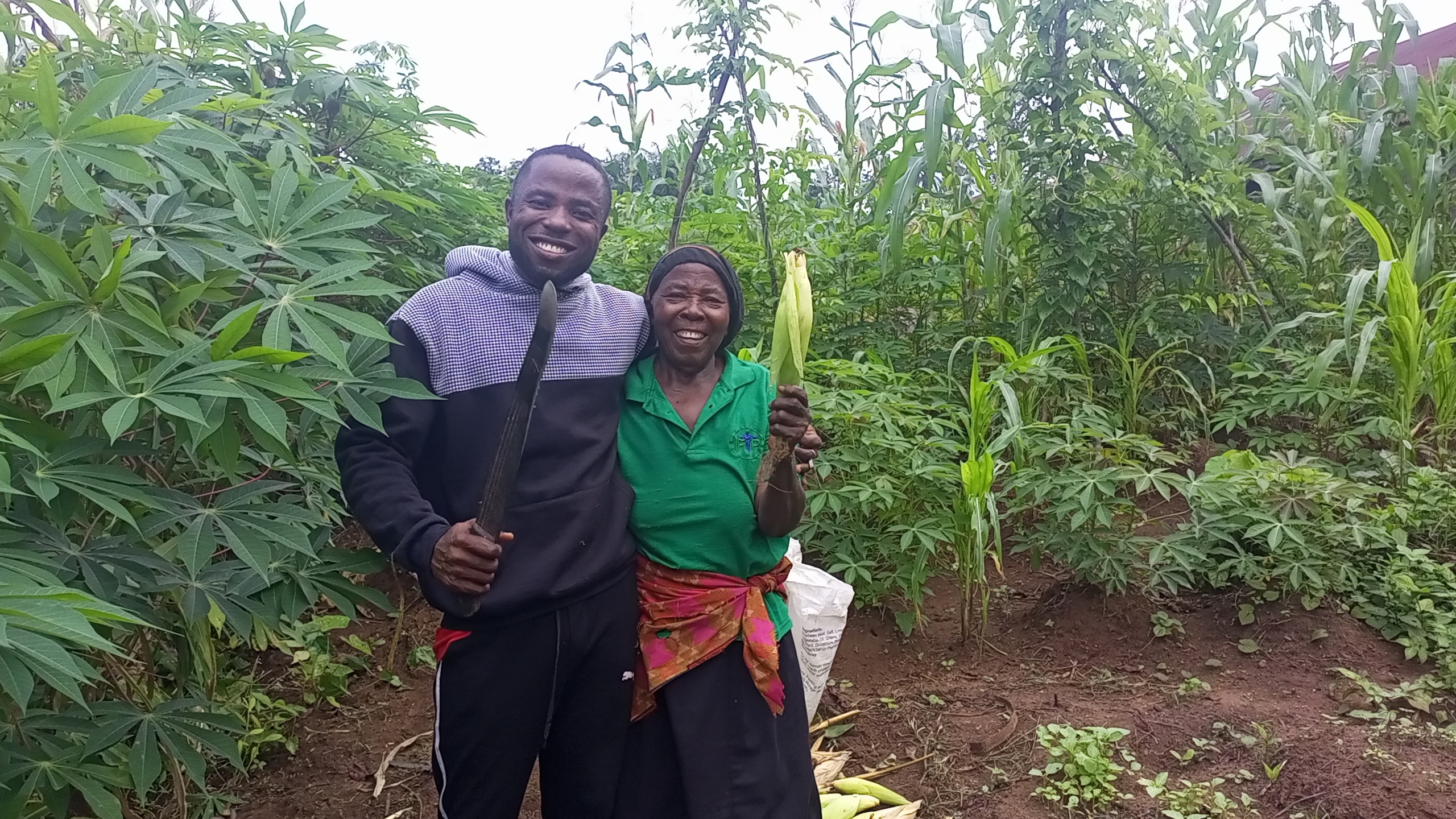 SEED TO WEALTH