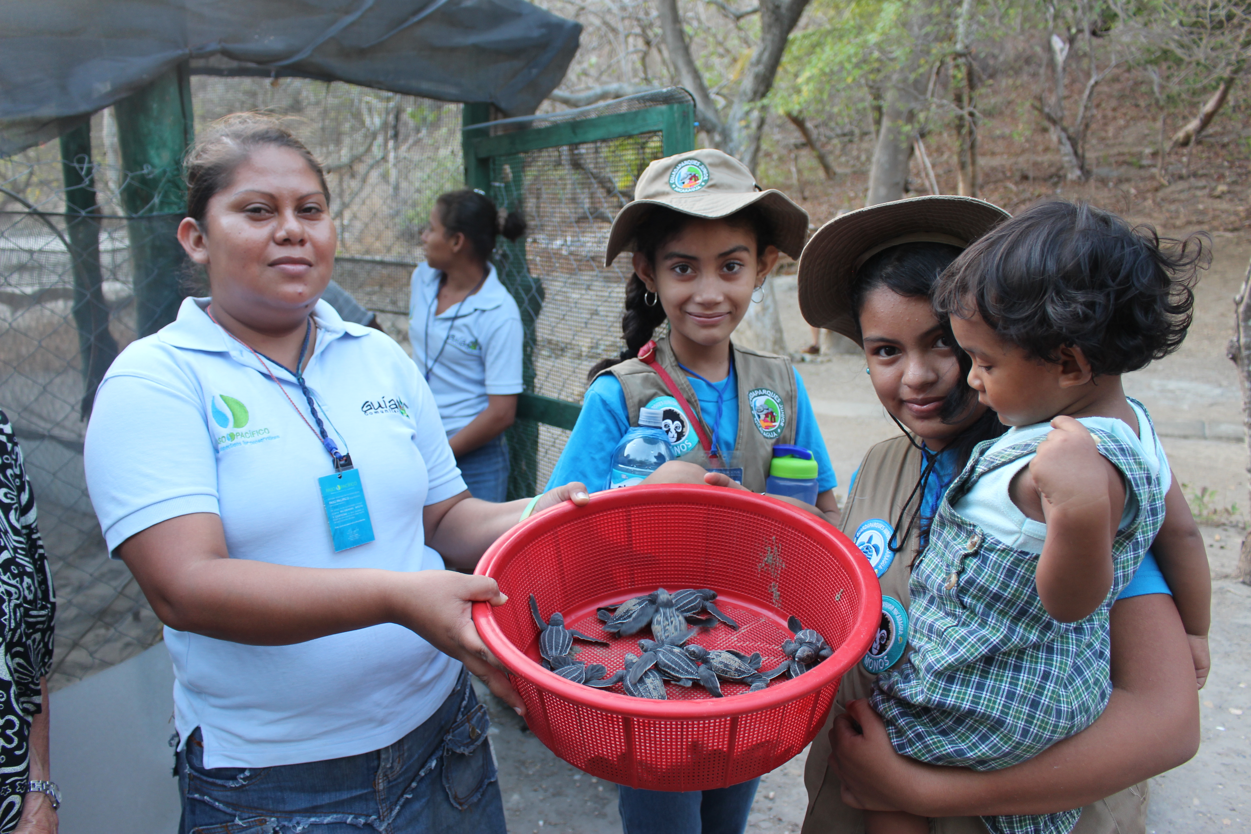 Safeguard habitat for wildlife in Central America!