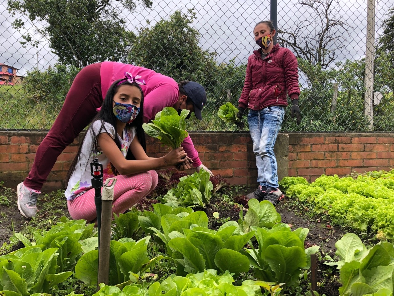Food security in Cundinamarca