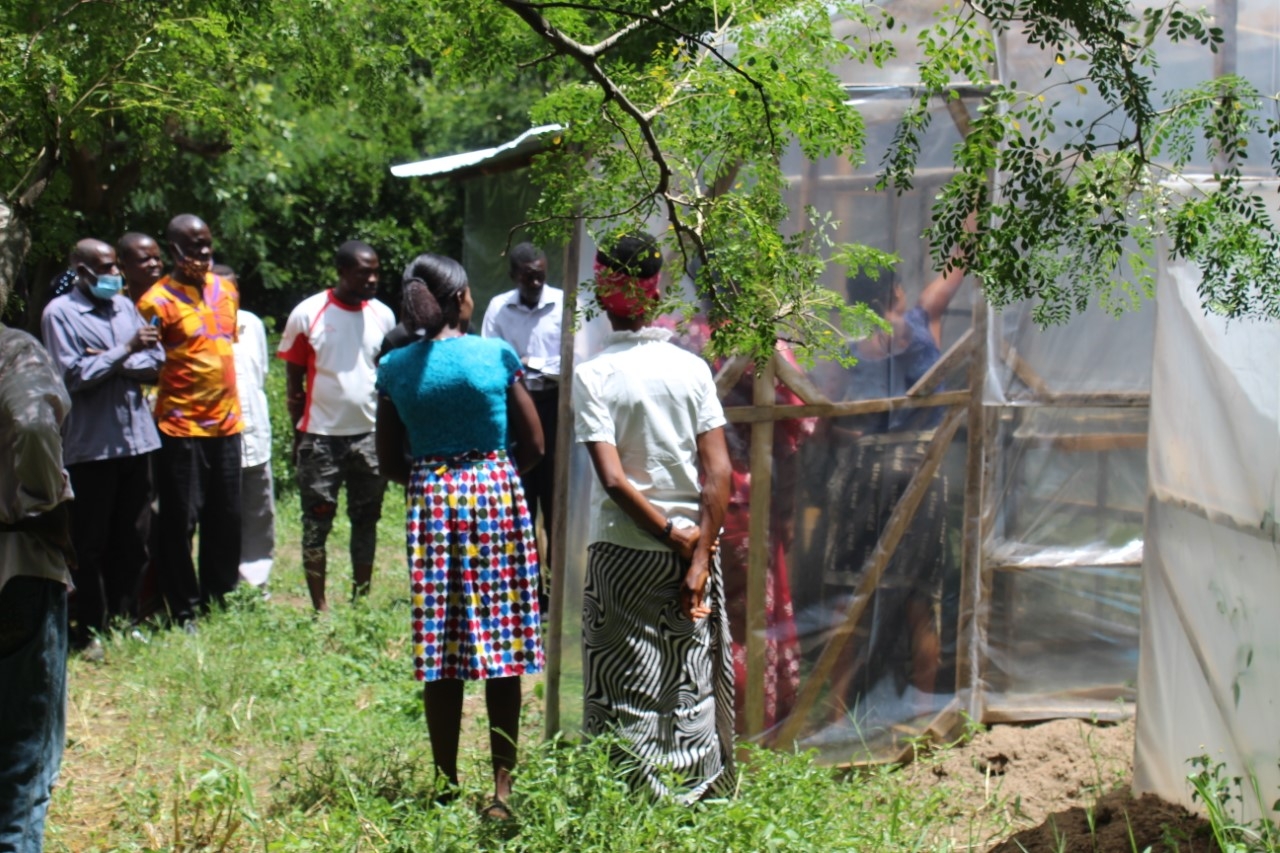 With chickenfeed against climate change & poverty
