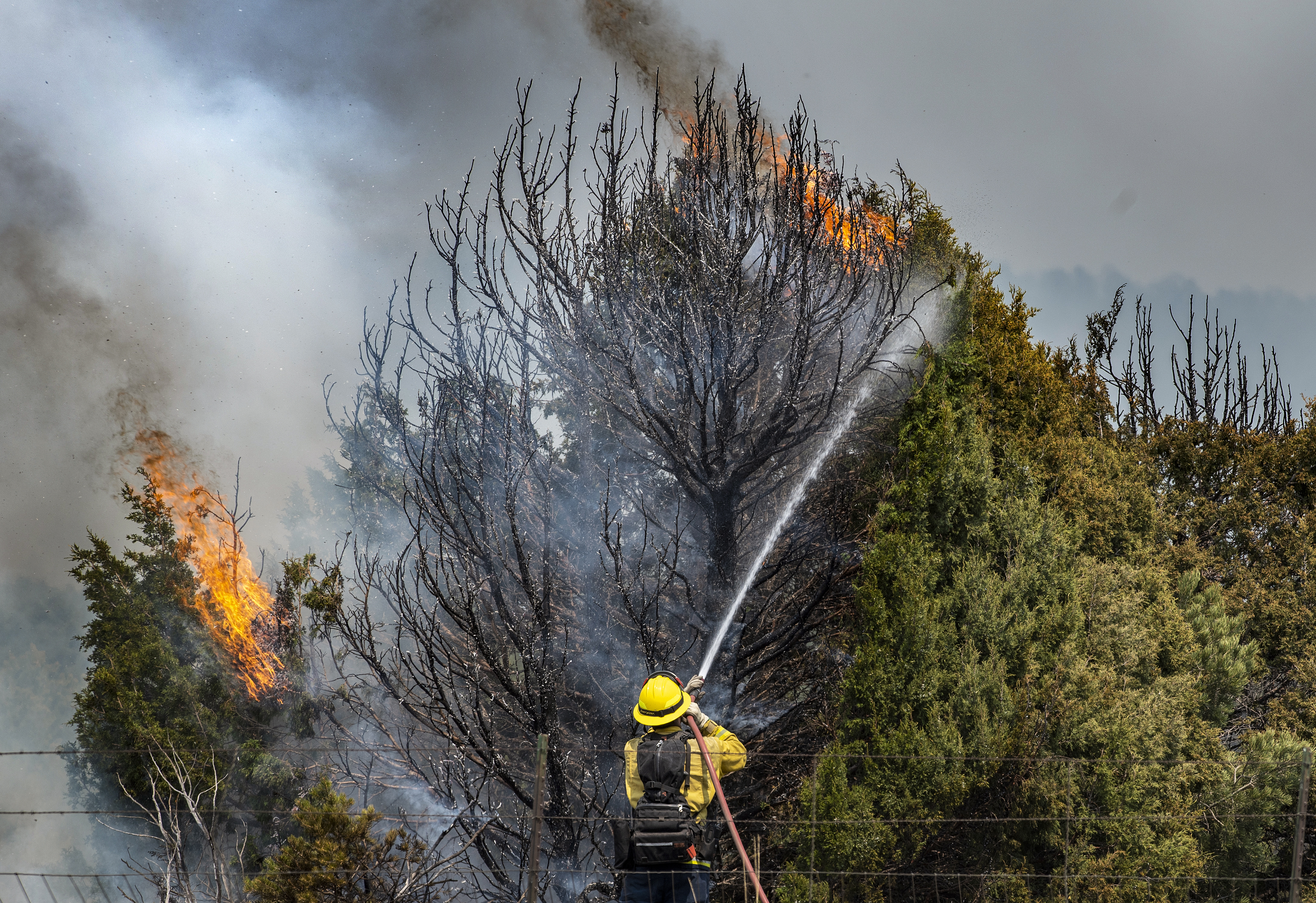 New Mexico Wildfire Relief Fund