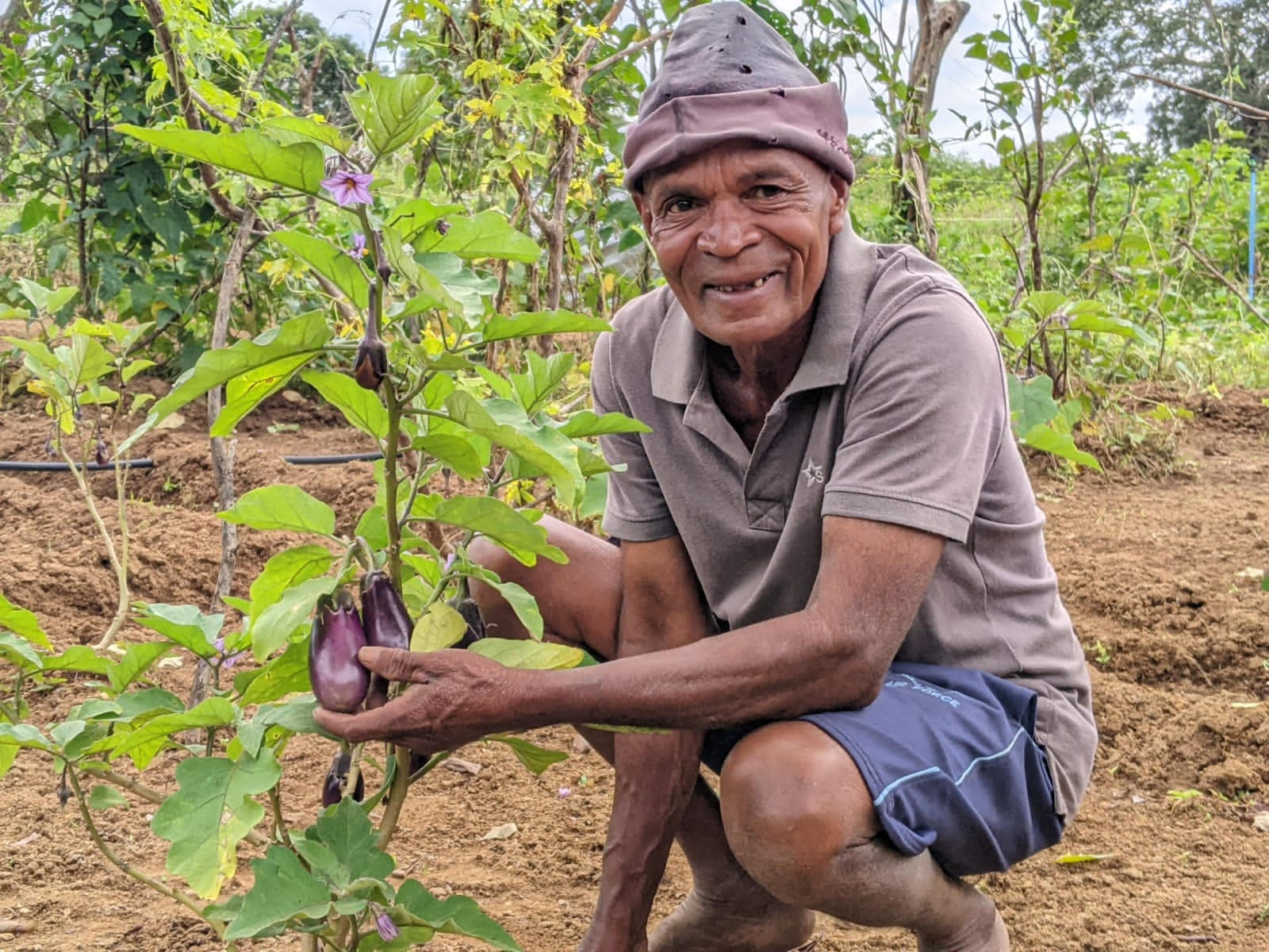 Helping Sri Lanka's farmers get back on their feet