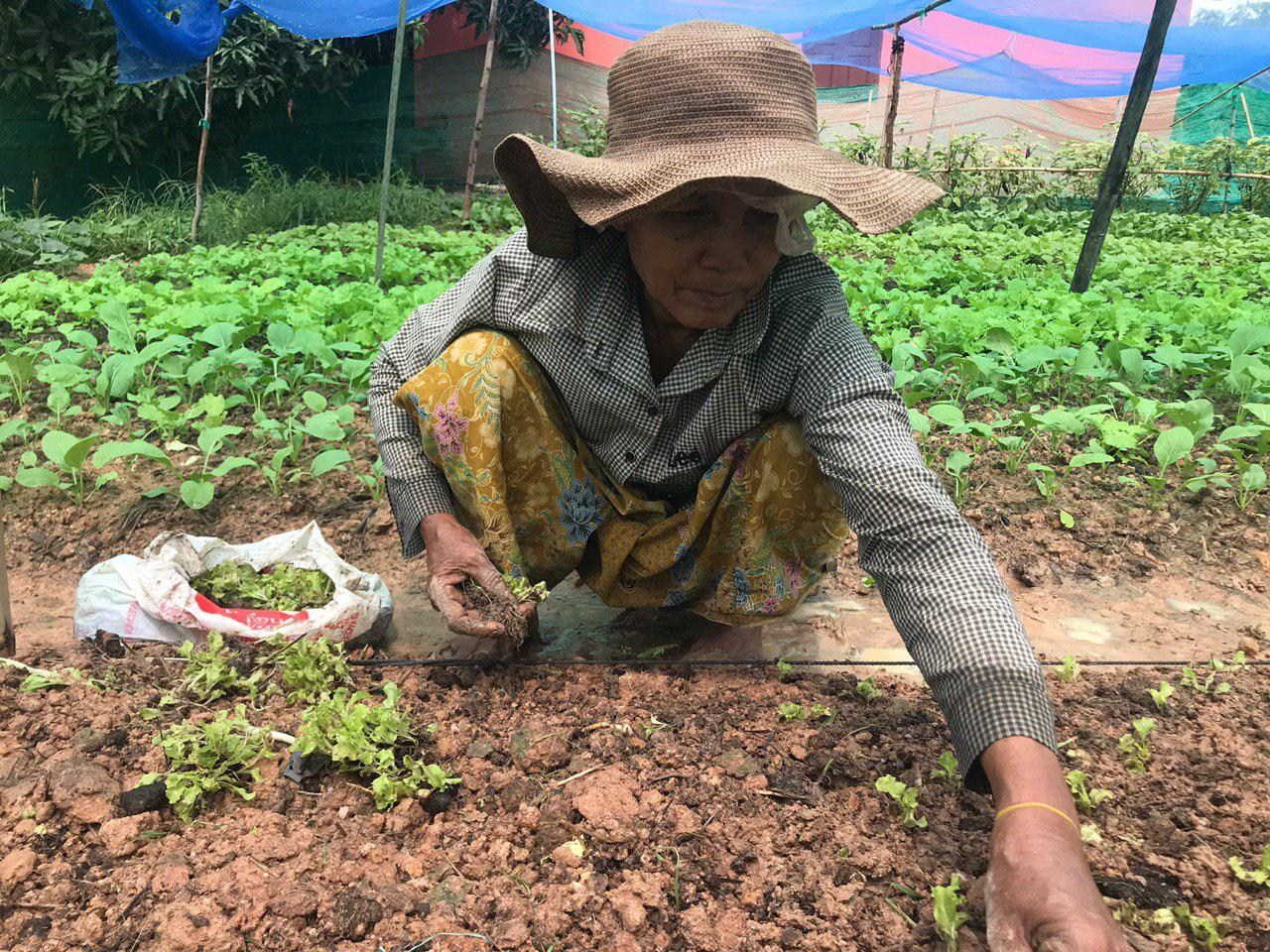 Help Rural Cambodians Escape Hunger and Poverty