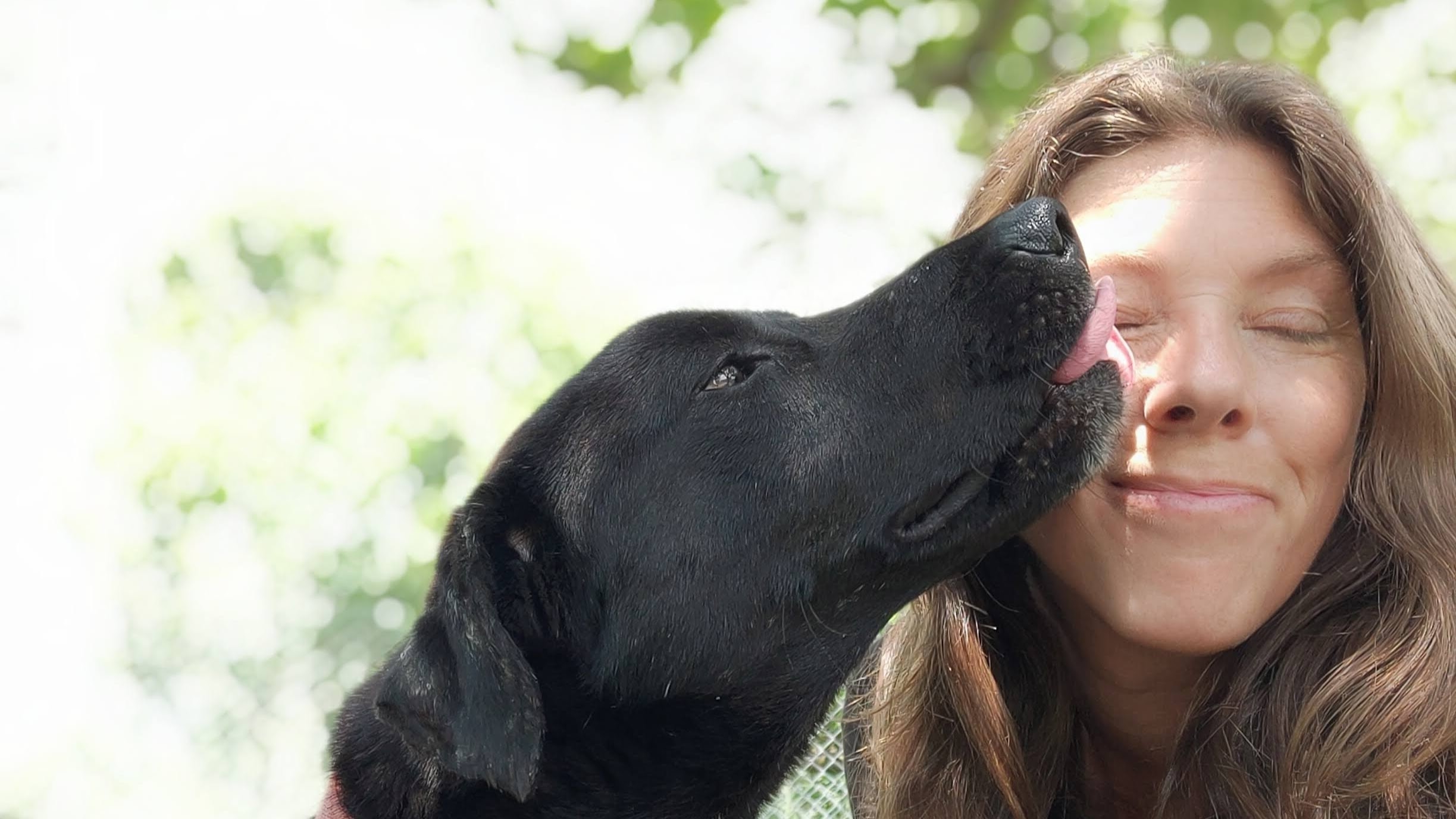 Help homeless animals access life-saving treatment