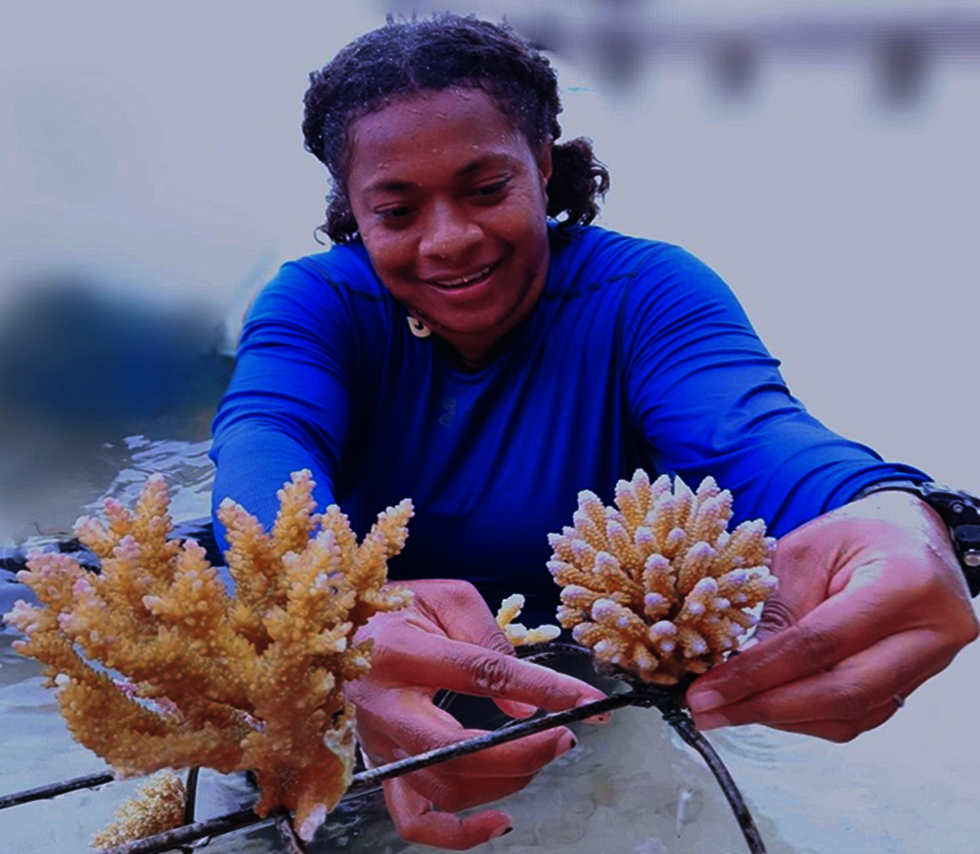 Reefs of Hope South Pacific Expansion