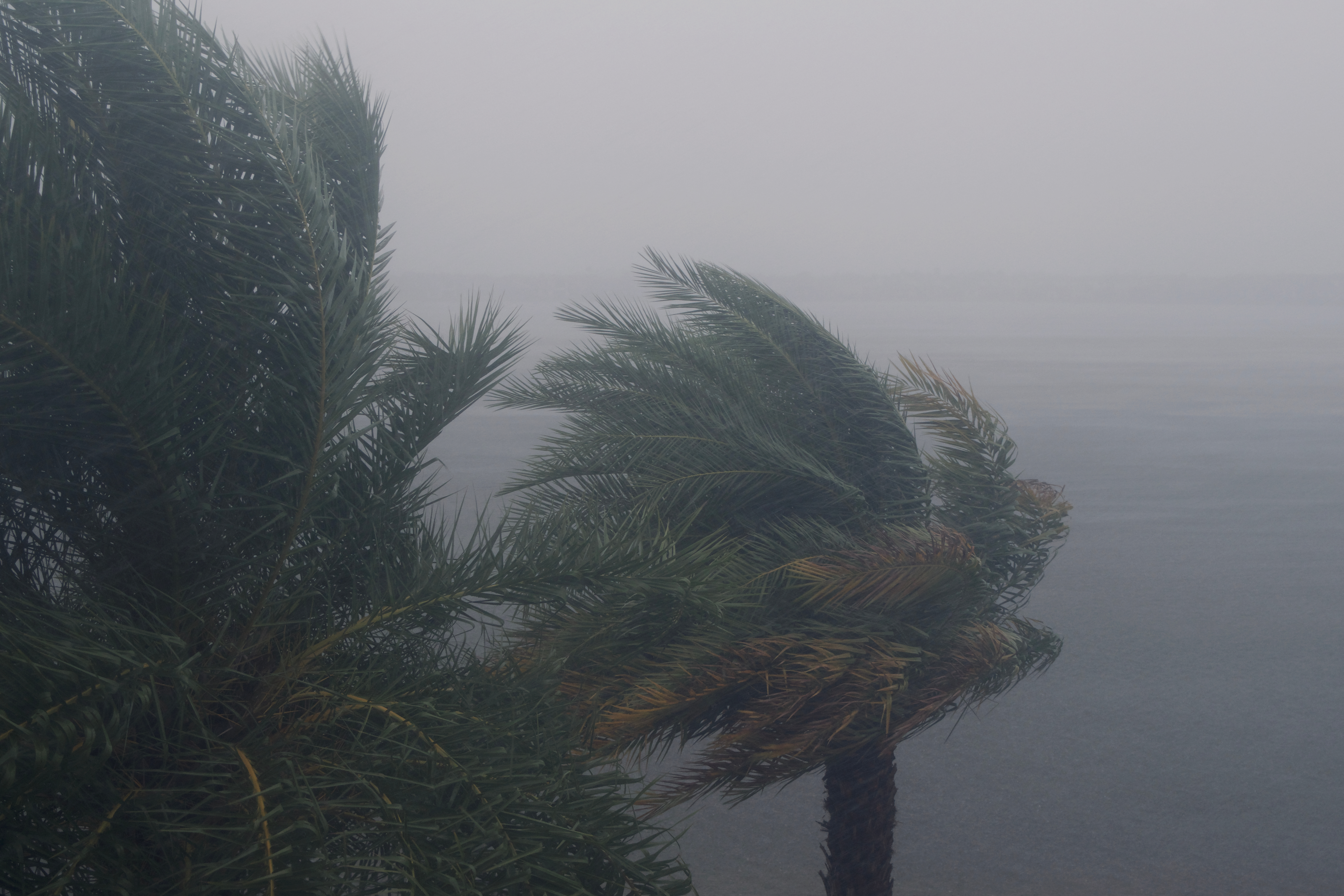 Help Airlink Airlift Aid - Hurricane Ian