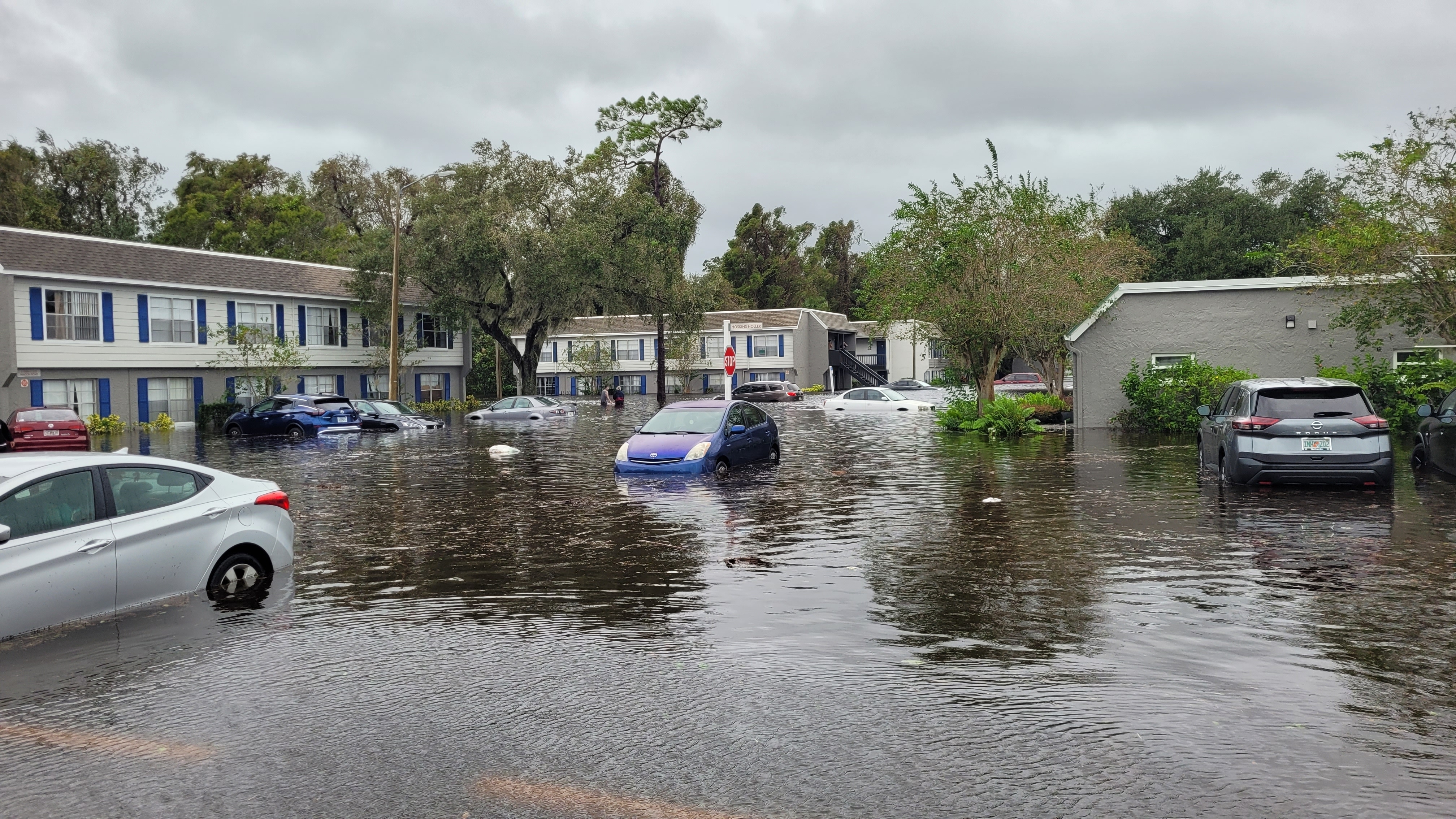 Provide Fresh Meals to Hurricane Ian Survivors