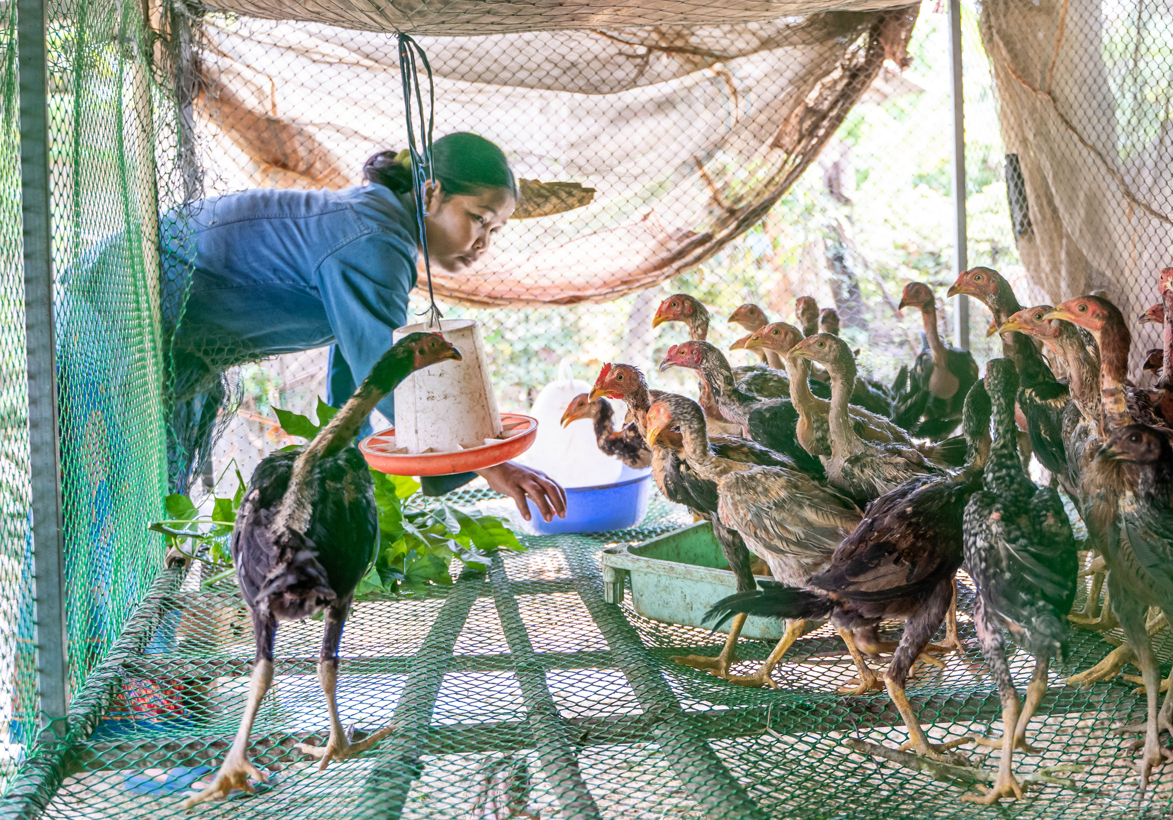 Build a small business for families in Cambodia