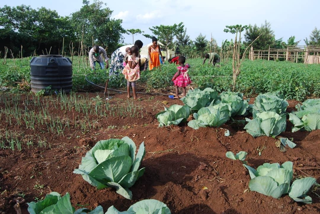 Support food security & Livelihood of 1000 Ugandan