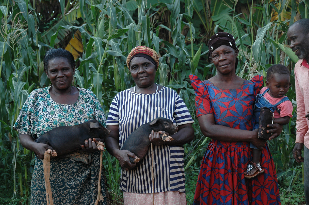 Enhancing Livelihoods through Sustainable Piggery