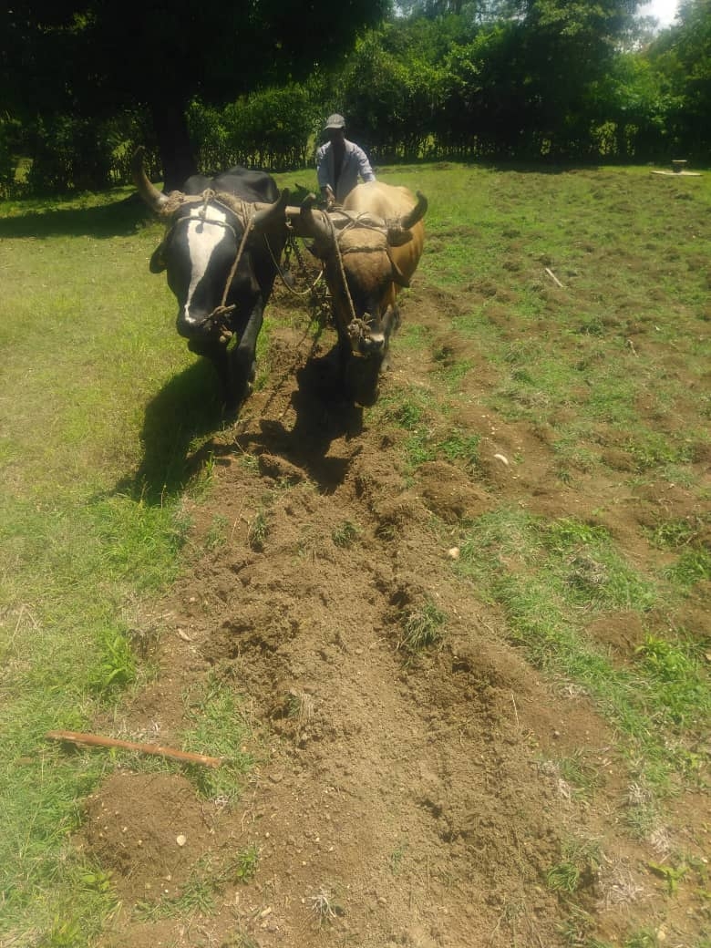 "A Hand Up not a Hand Out" to our local farmers.