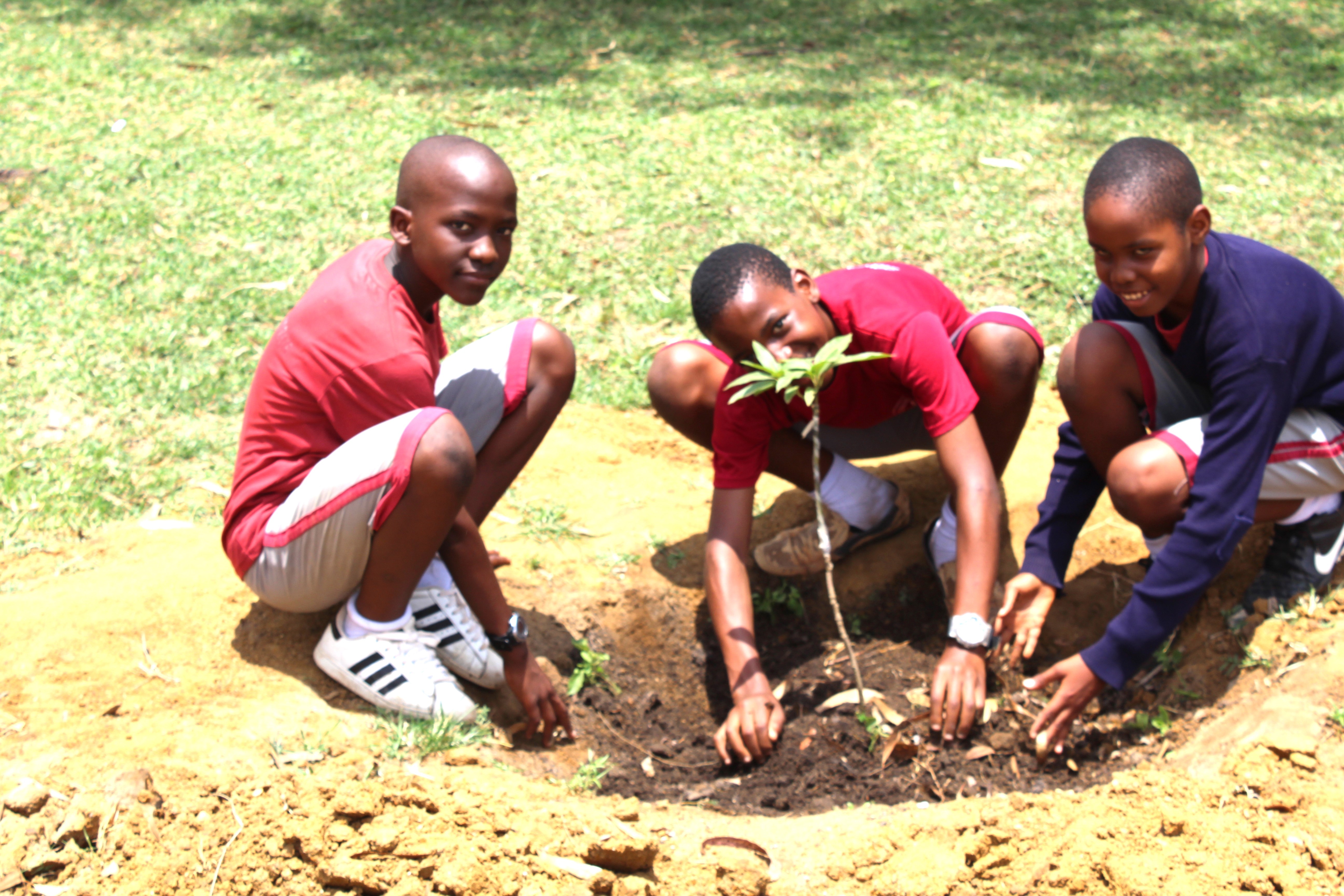 Birthday Tree Planting Project