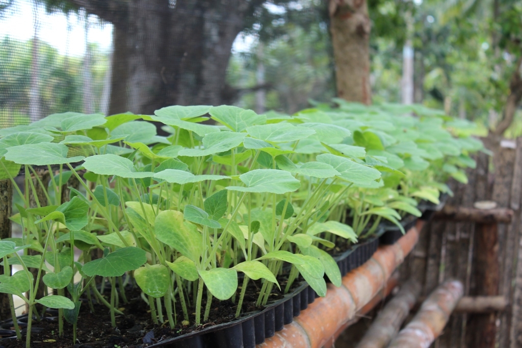 Ukraine Sanitation and Food Security Project