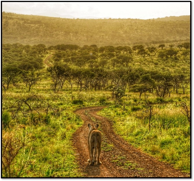 Protected Area Expansion Project