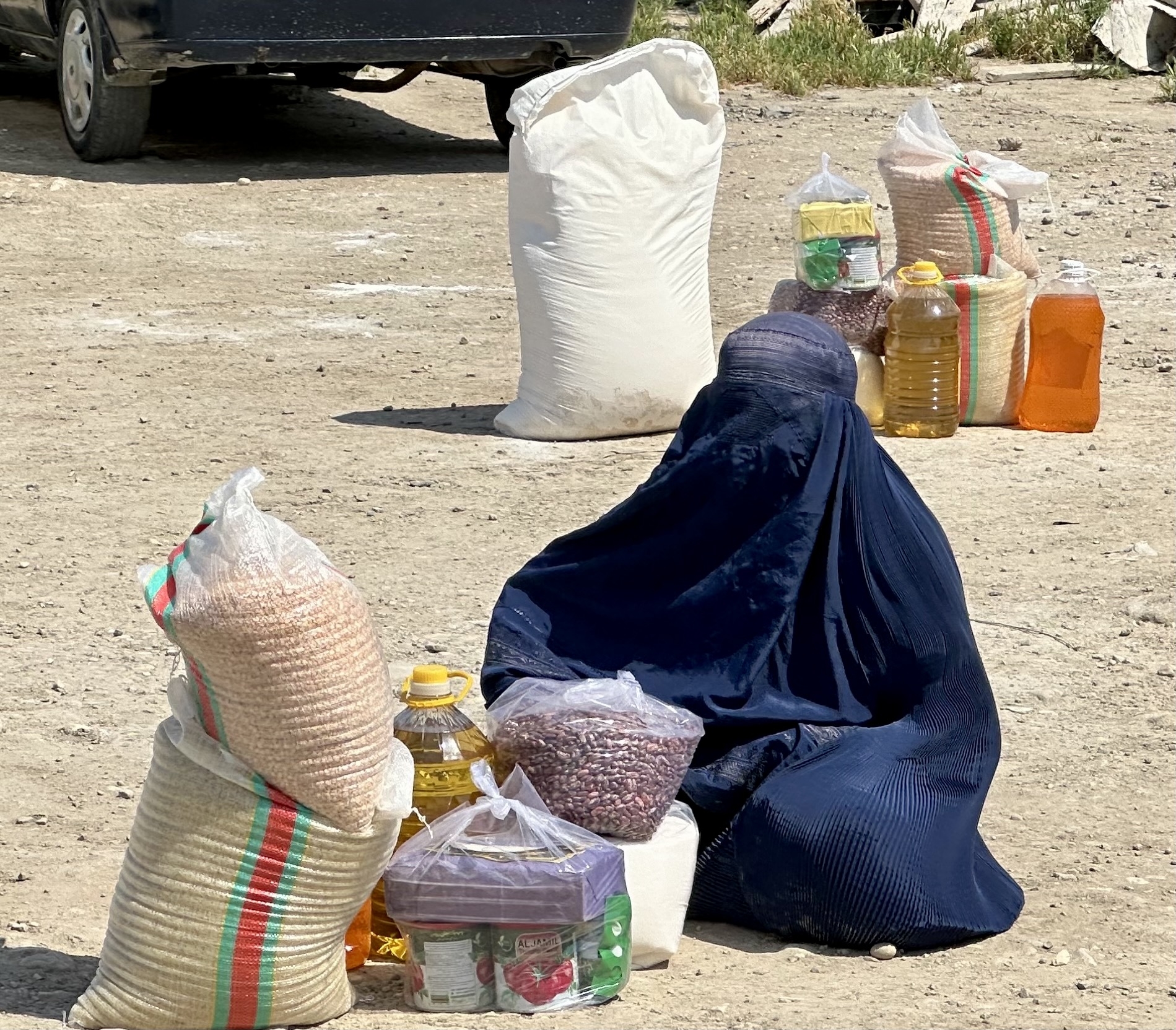 Nourish Food Insecure Afghans in Afghanistan