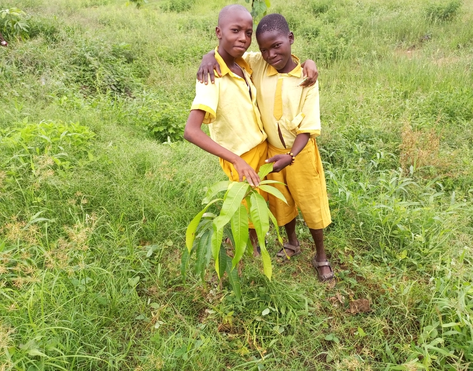 Plant fruit trees and raise happy healthy children