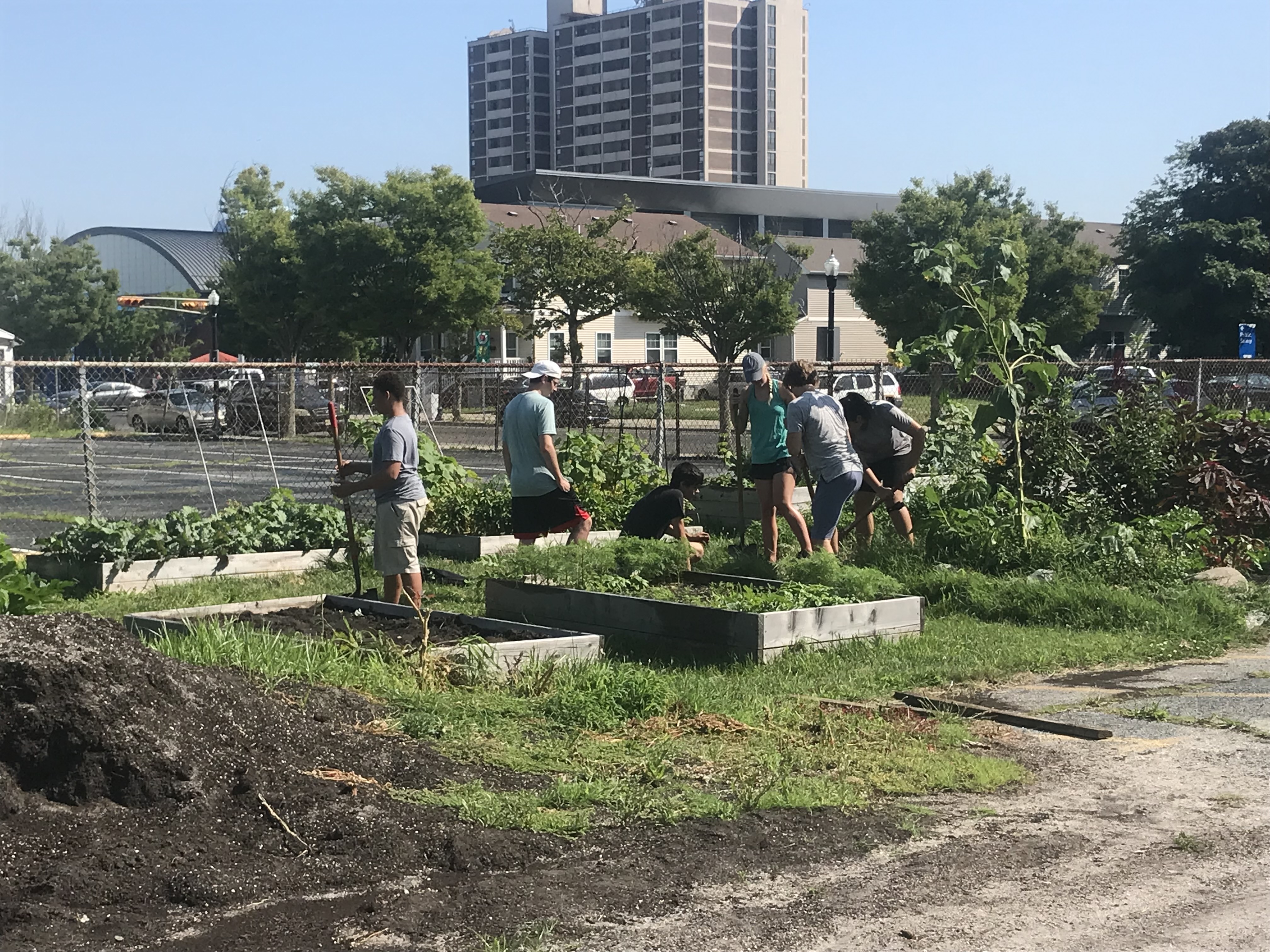 Build a US WaterHouse!