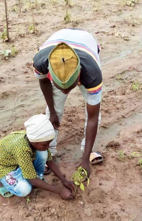 Empower children to plant gardens and trees