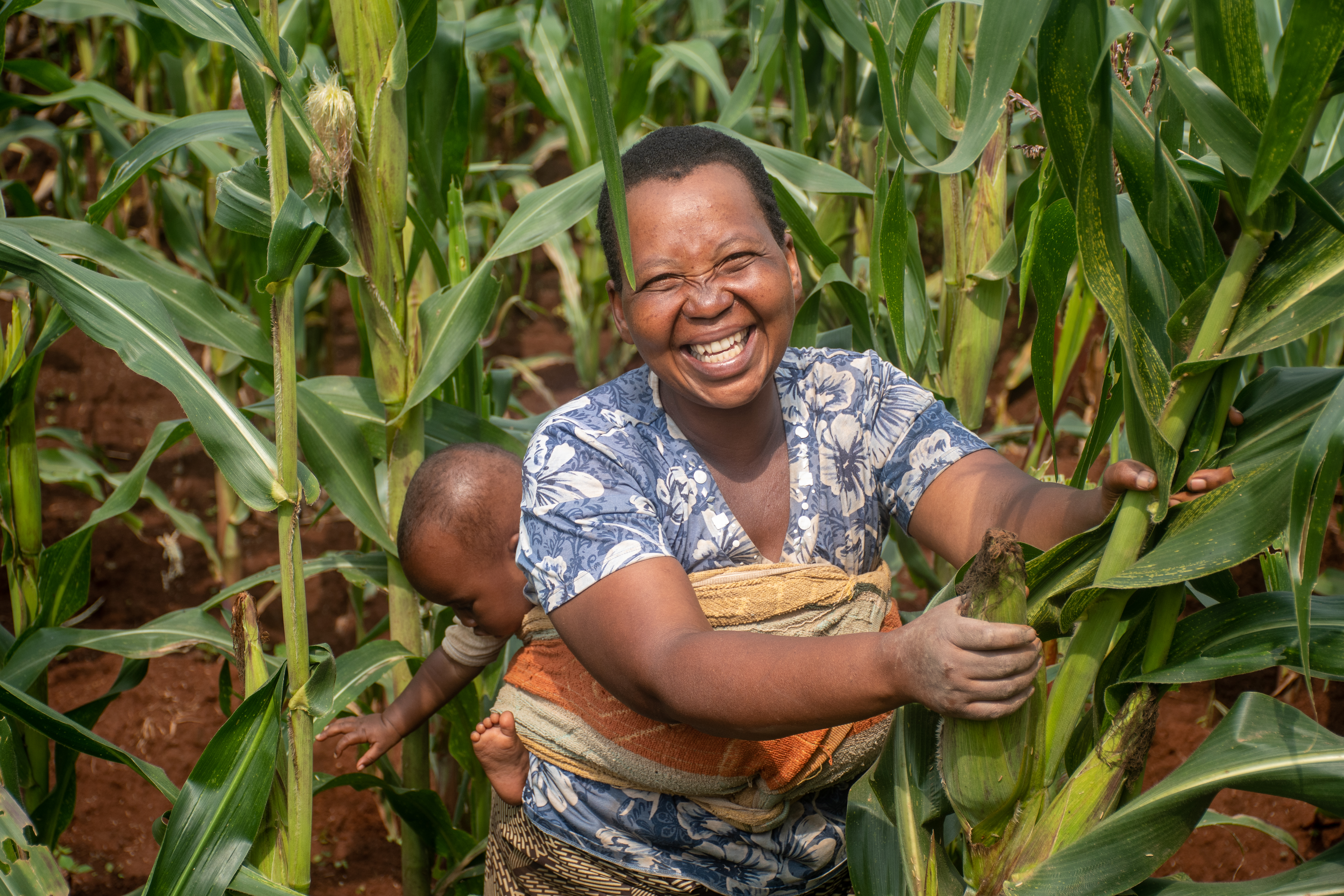 Invest in small-scale farms in sub-Saharan Africa