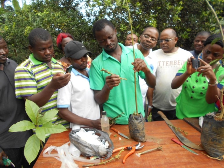 Save the planet with tree planting