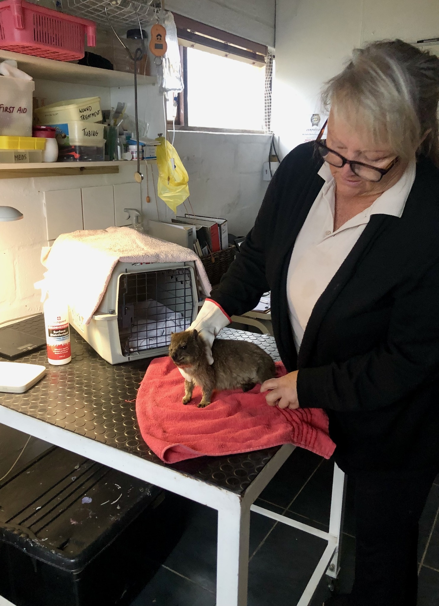 Build the Western Cape's 1st Wildlife Centre